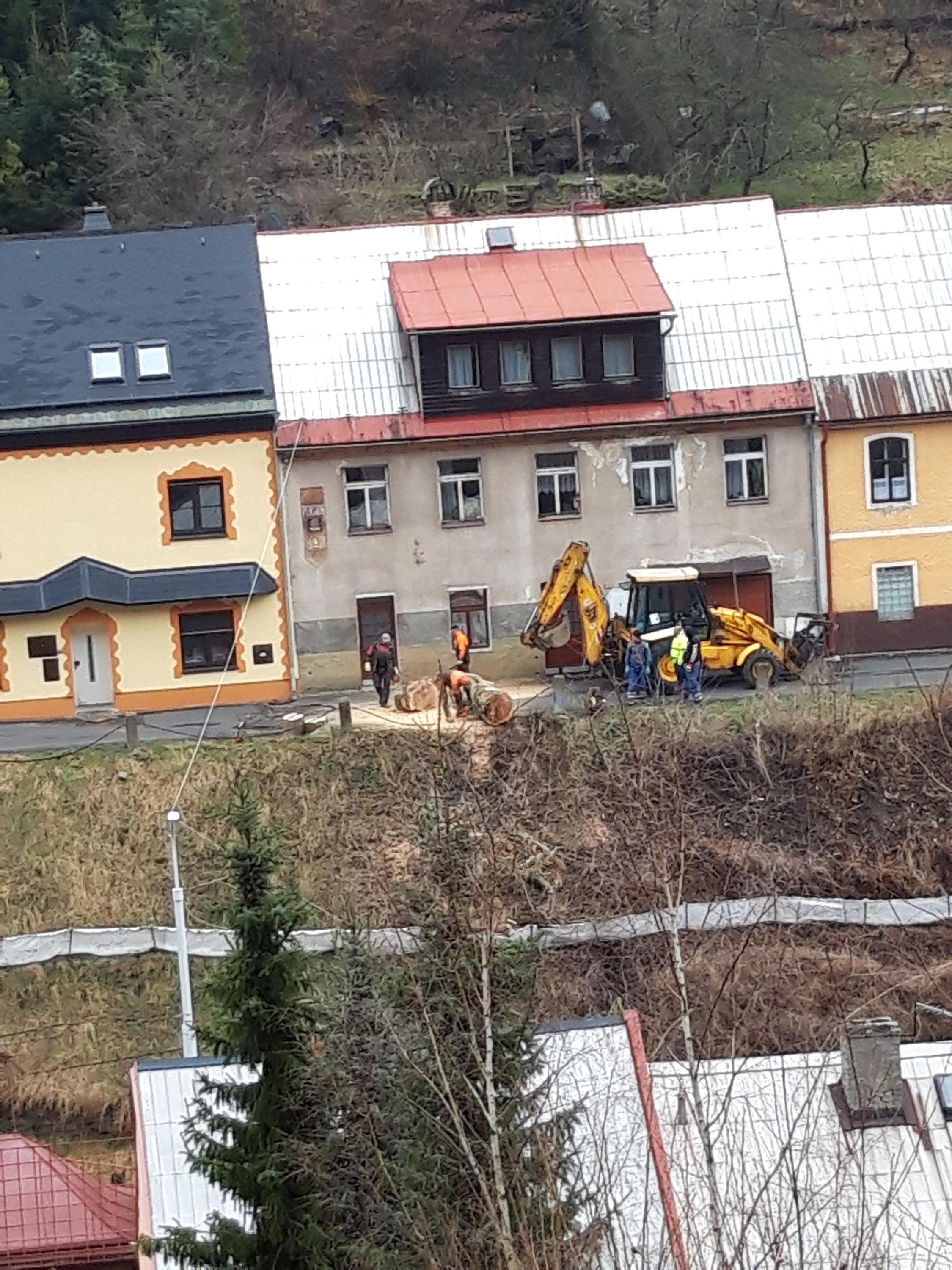 Prořezávky a rizikové kácení stromů - Martin Kostka foto 2