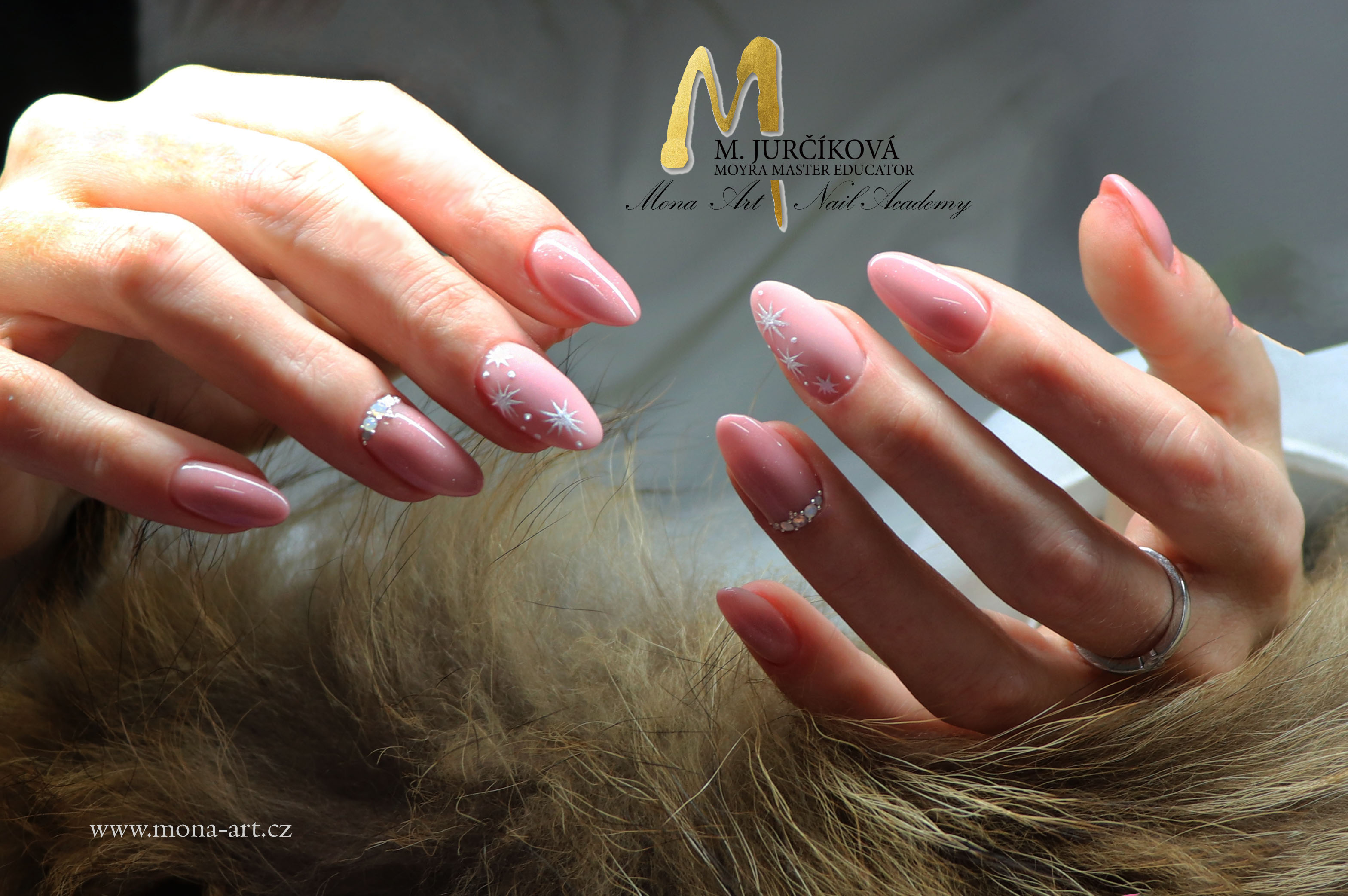 Mona art nail academy foto 5