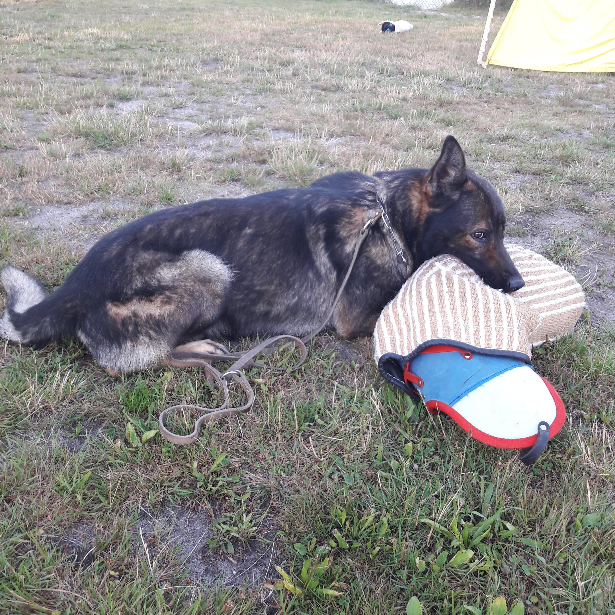 ZKO Česká Lípa-Obecní les-343 foto 3