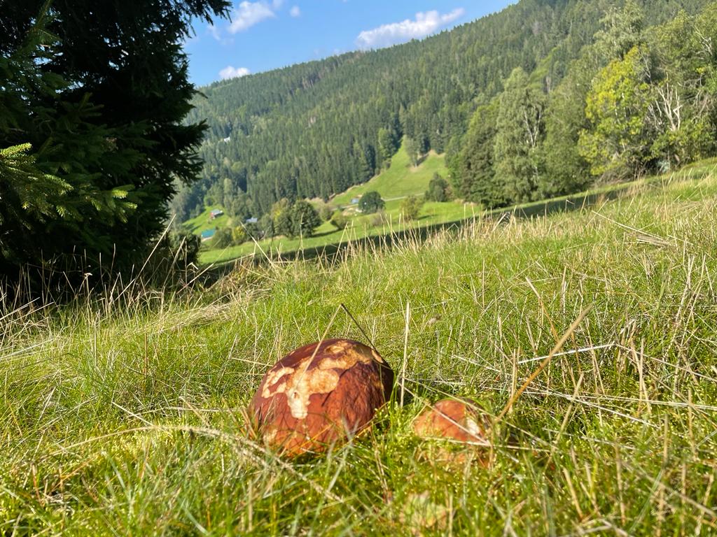 Roubenka Dušnice SPA SPA foto 4