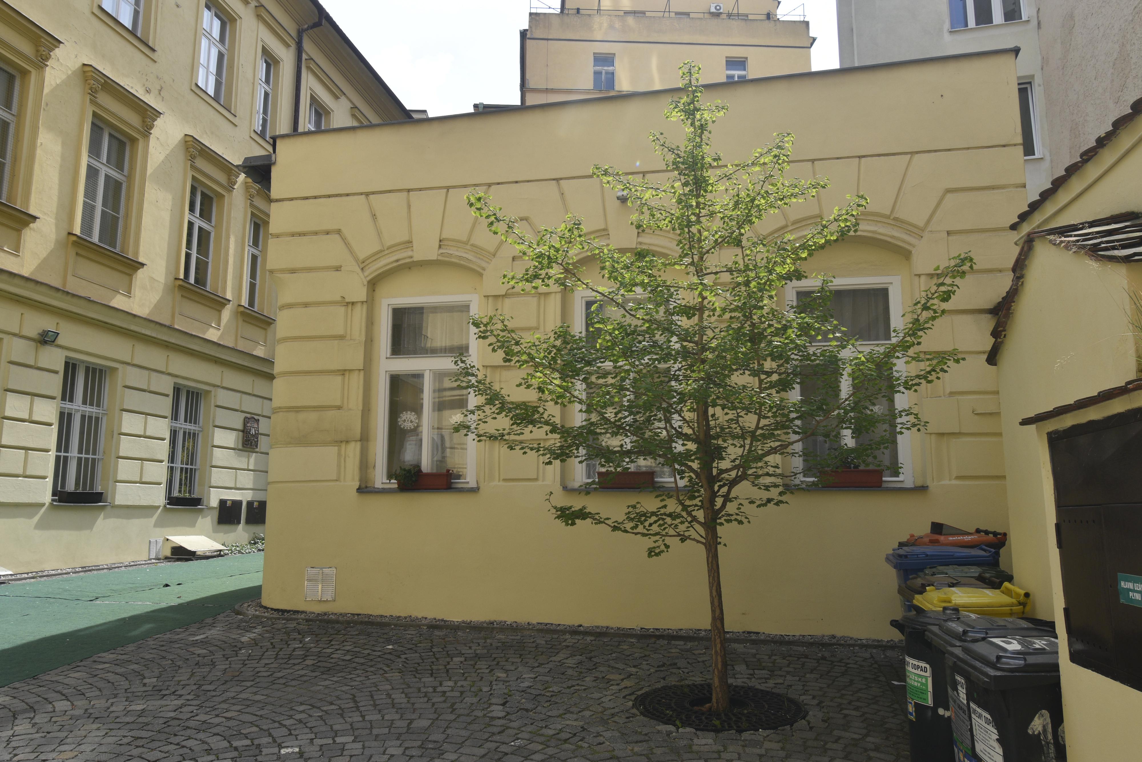 Mateřská škola Opletalova foto 5