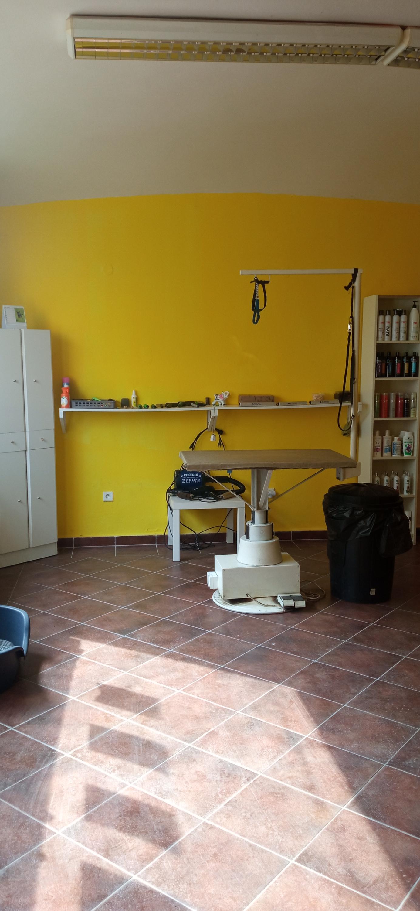 Psí salon Lovosice foto 3