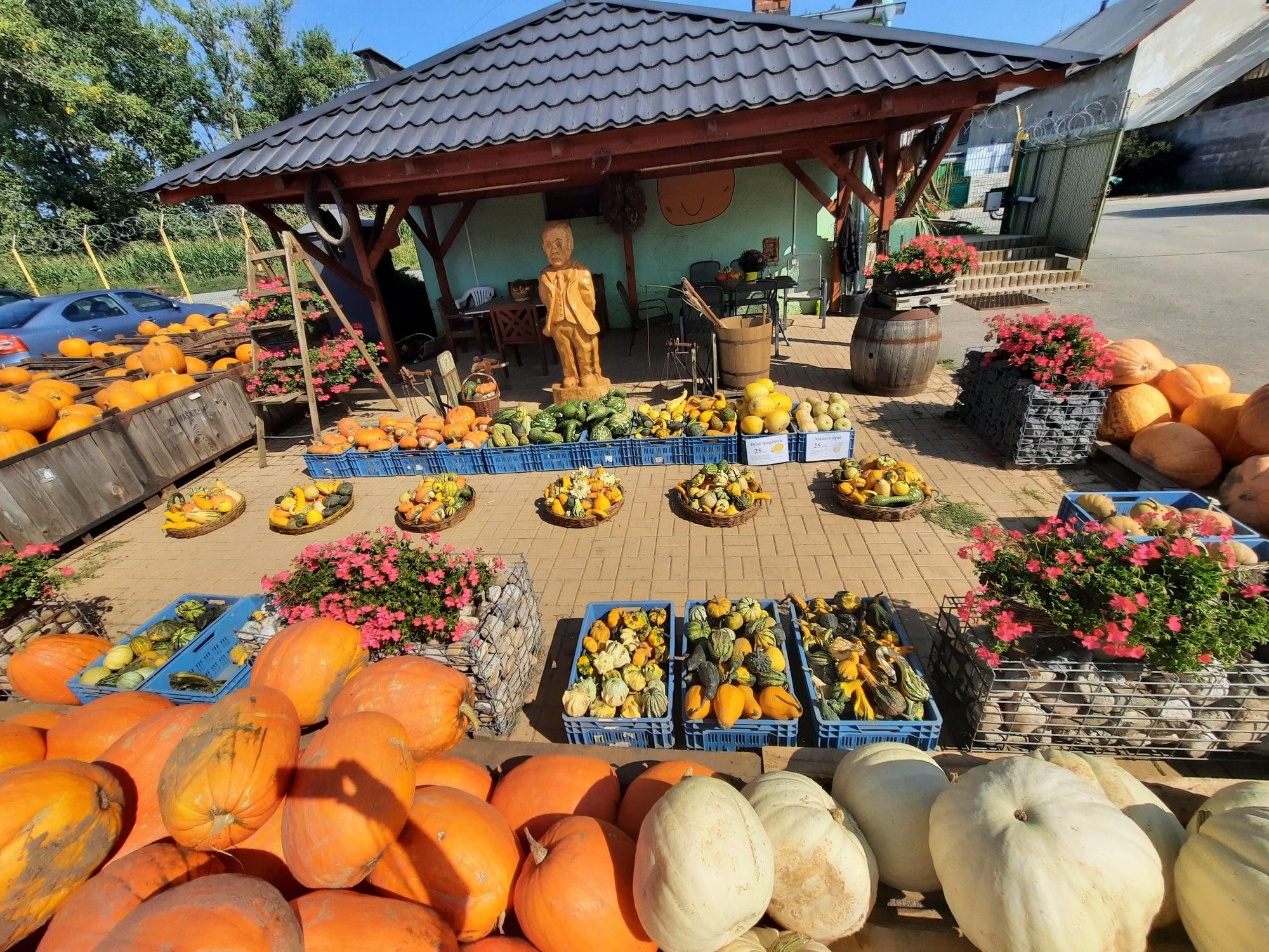 Farma Polák foto 6