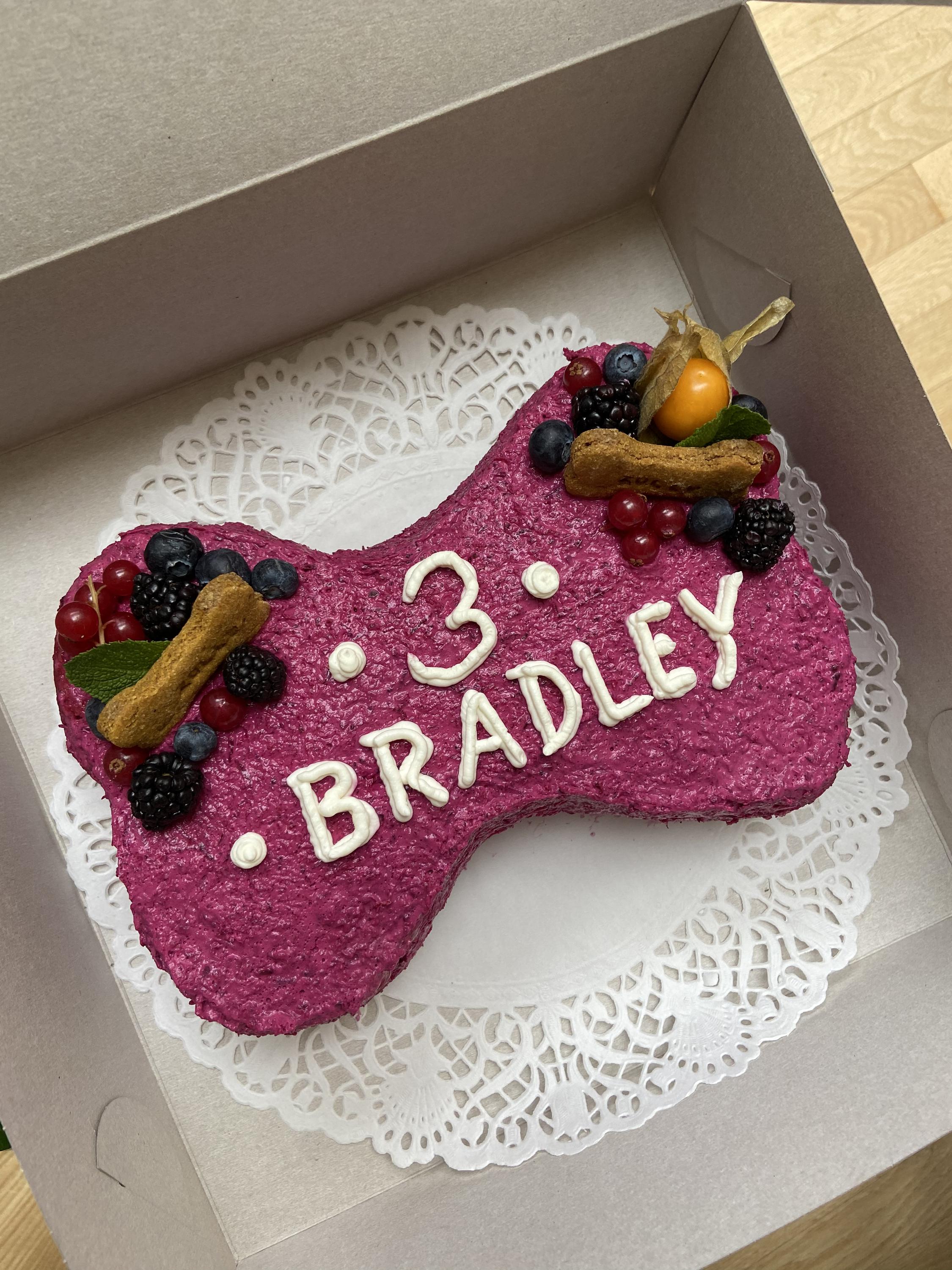 ZOLLY DOG BAKERY foto 2