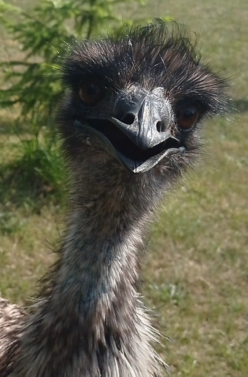 Hospůdka U Machů foto 4