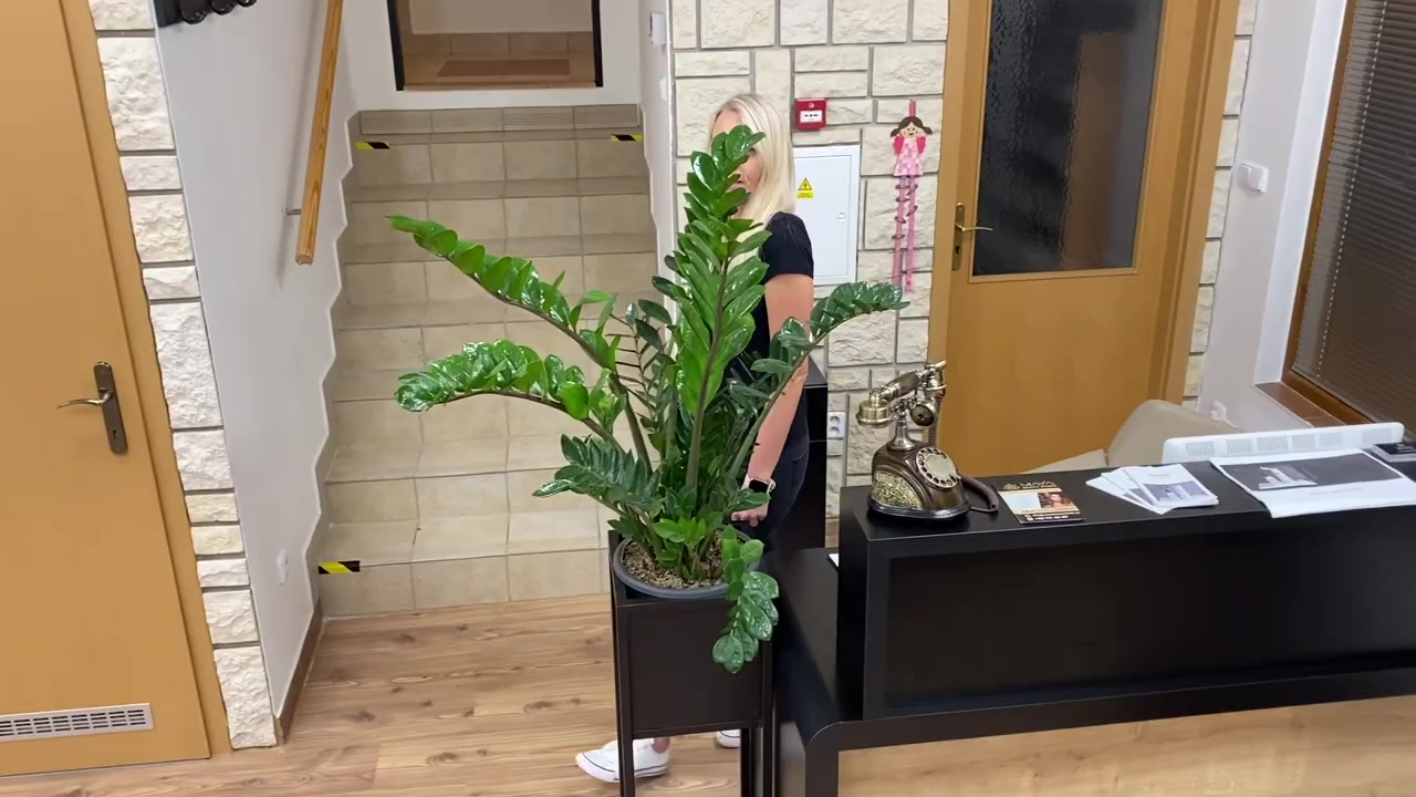 Maya Beauty Studio foto 2 (náhled videa)