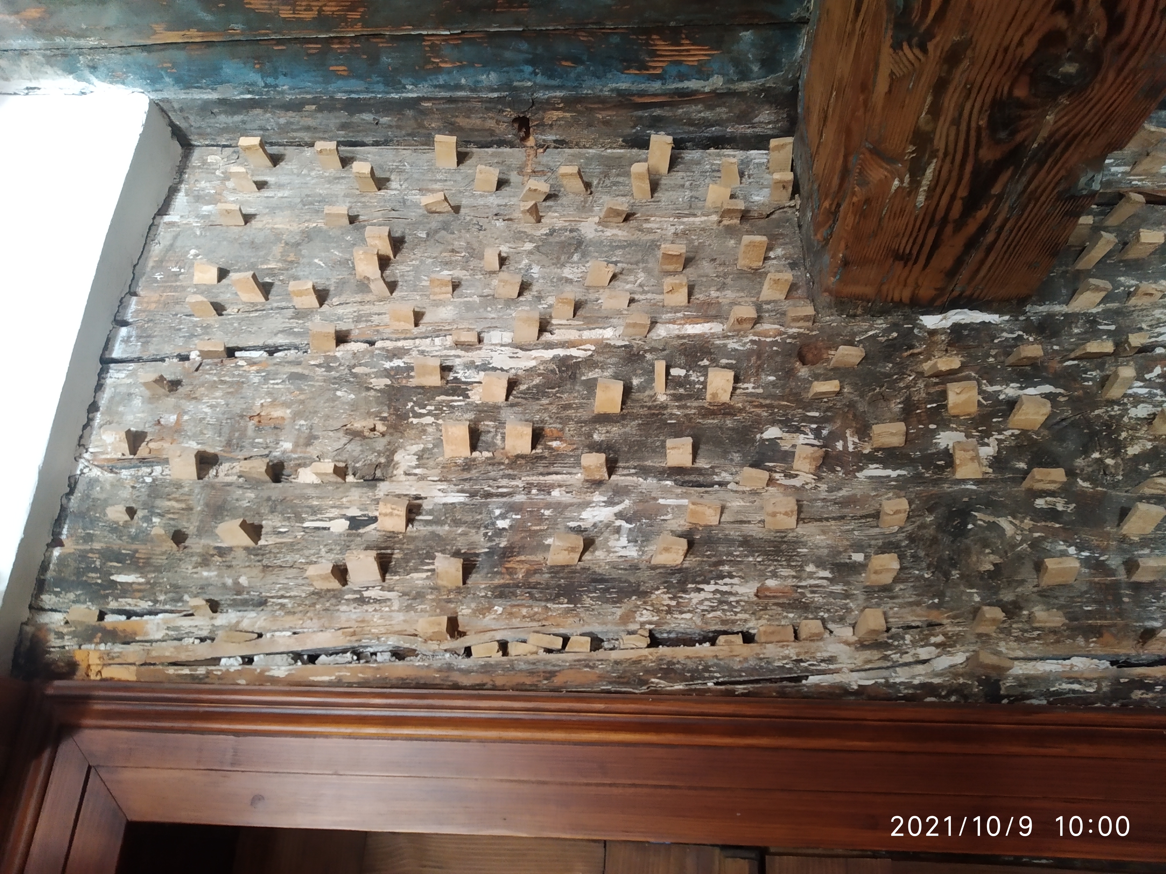 Ekocentrum Oldřichov v Hájích foto 2