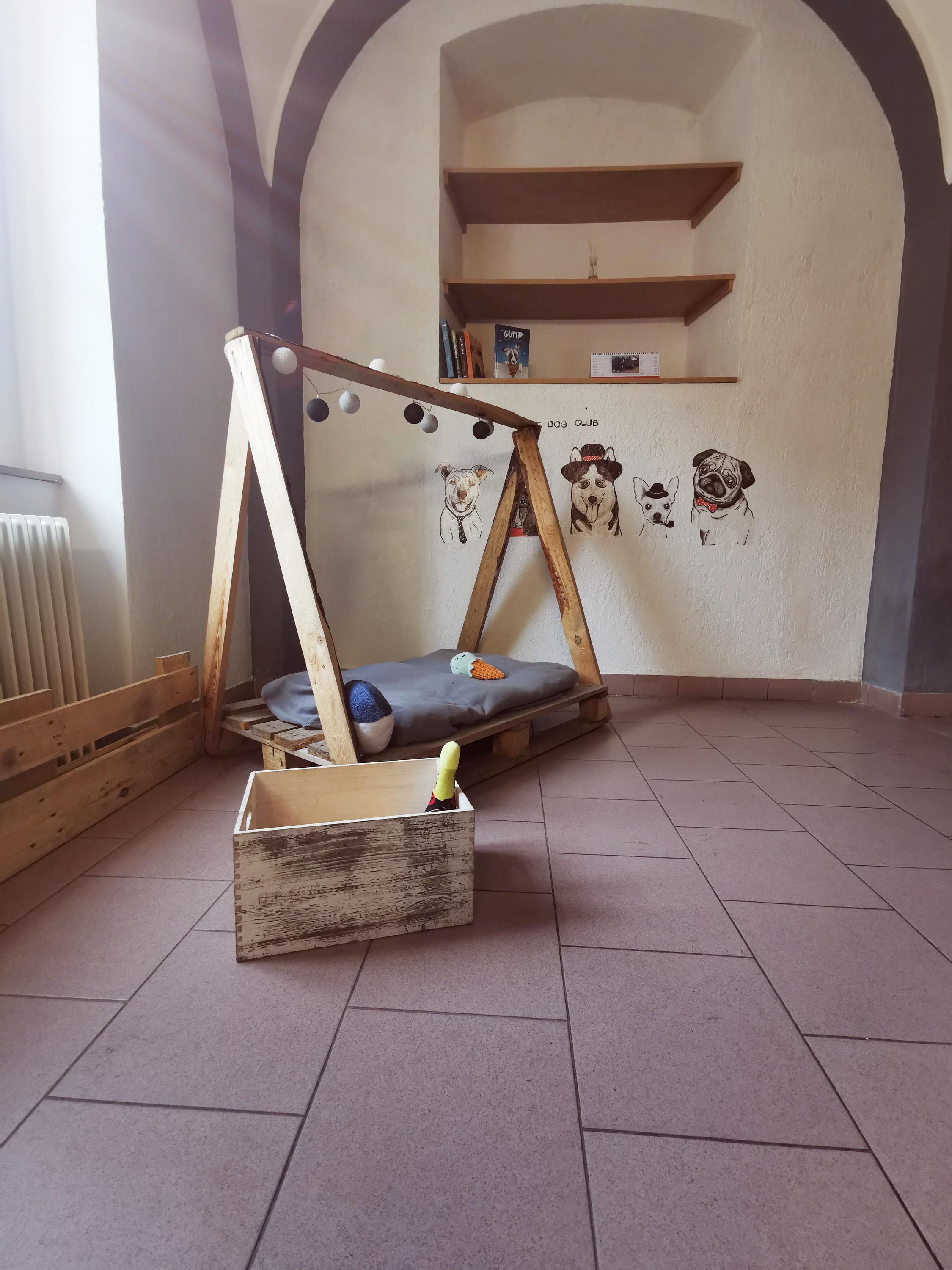 Dog House foto 4