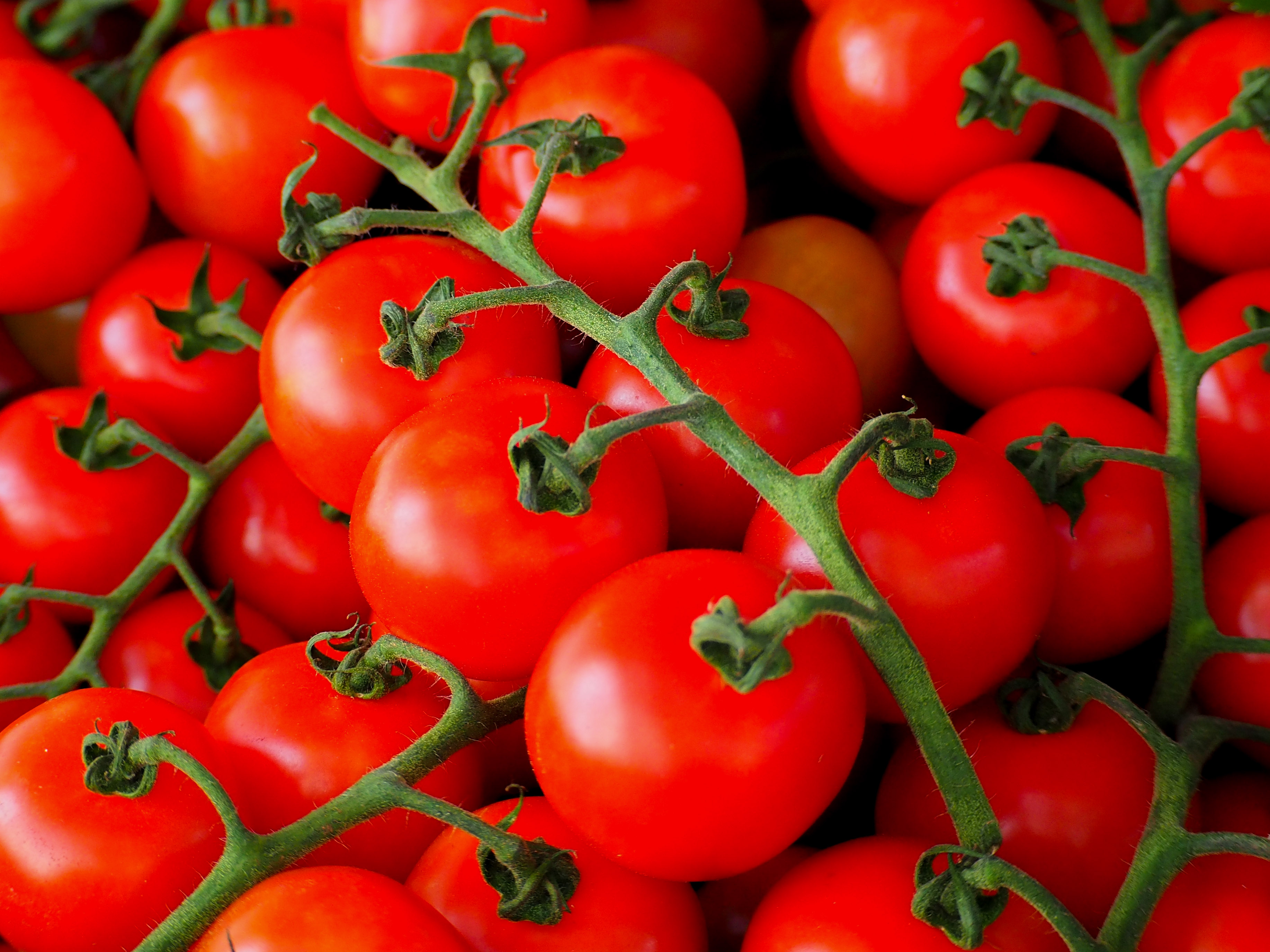 Zelenina a ovoce Iva Planičková foto 2