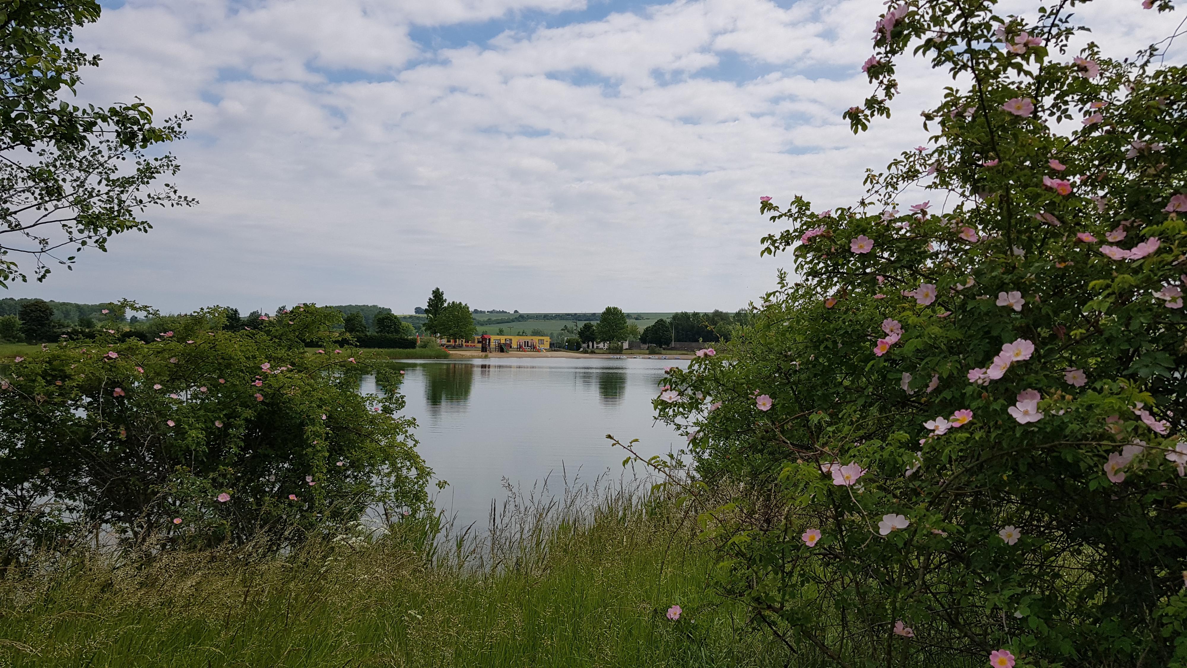 Přírodní koupaliště ALBATROS foto 6