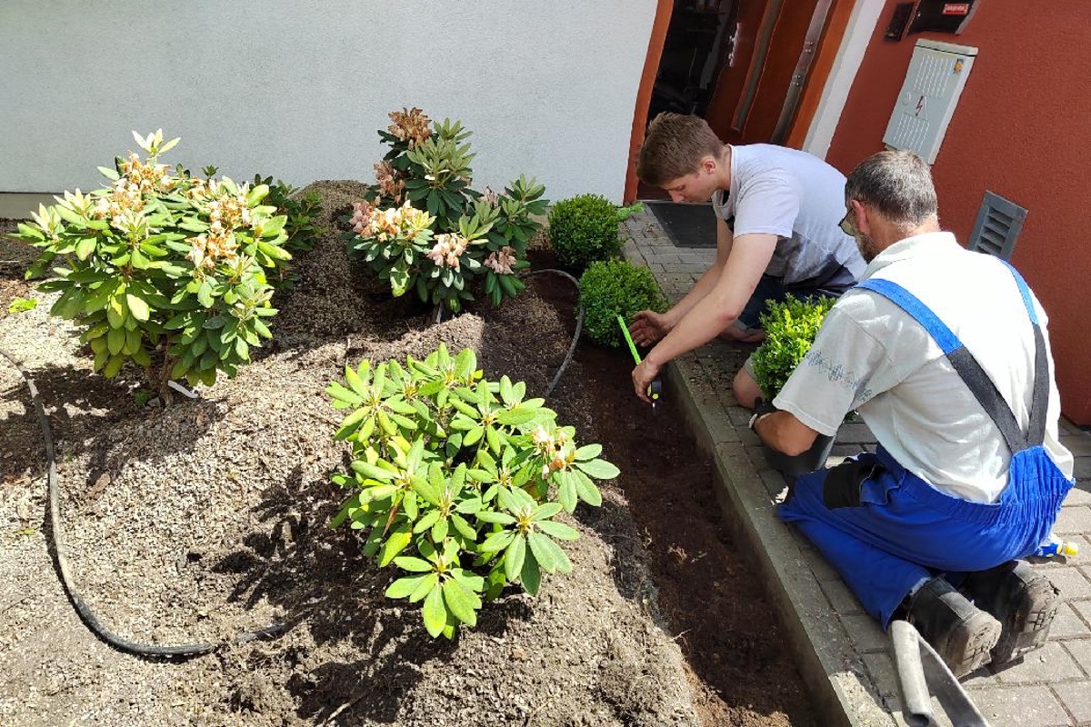 Zahradnické práce - Obchody levně