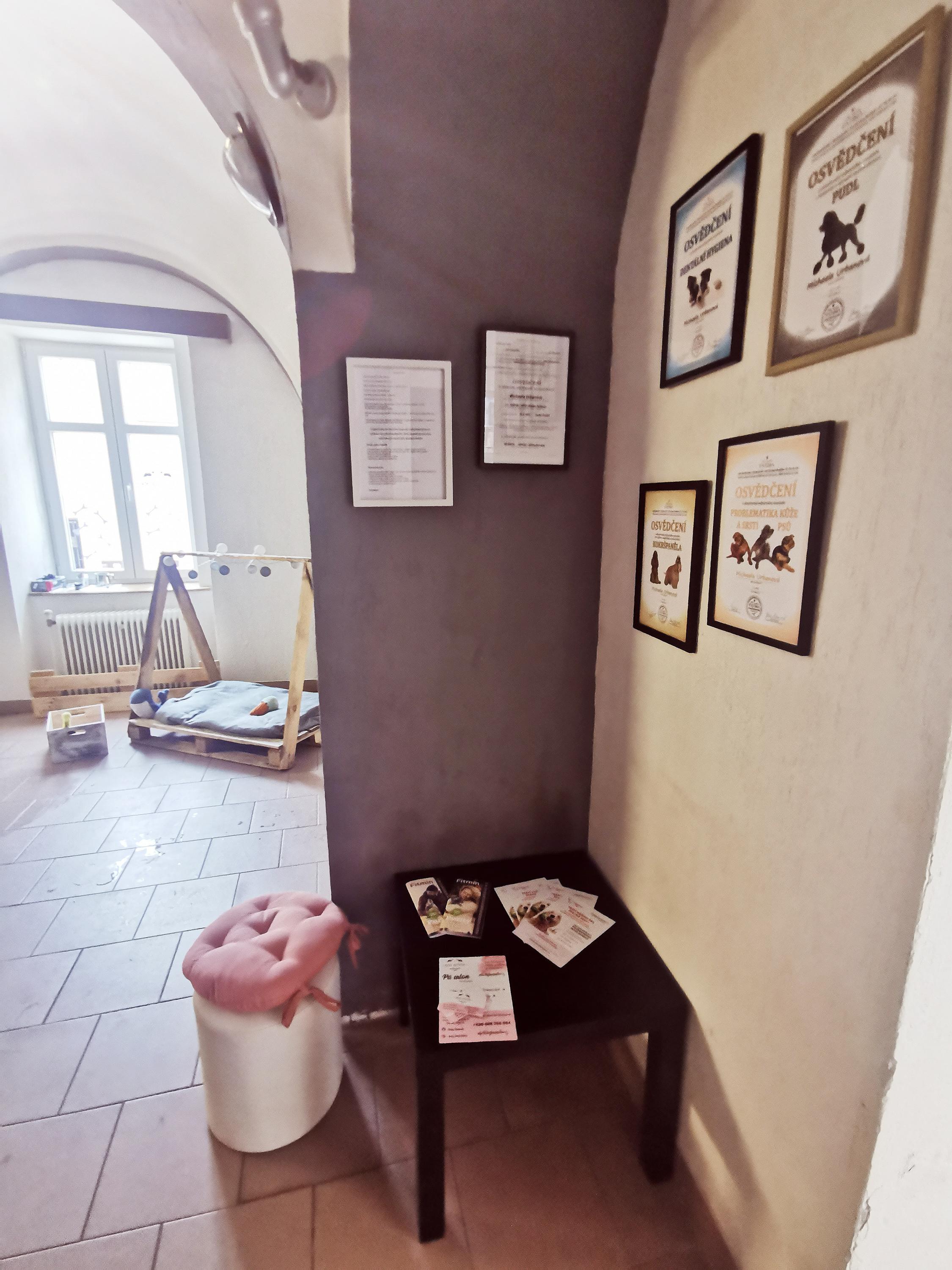 Dog House foto 3