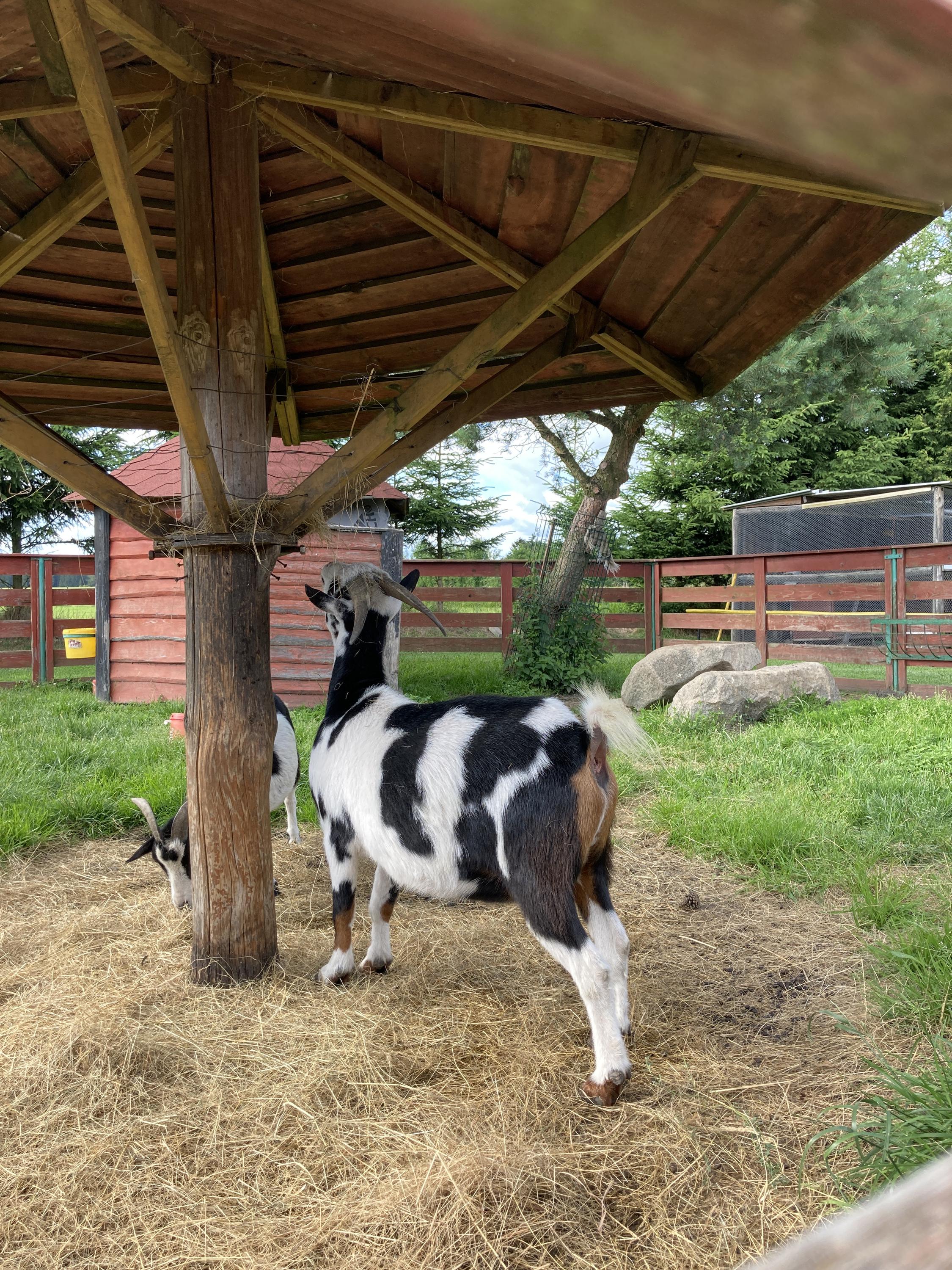 Salón Expres foto 6