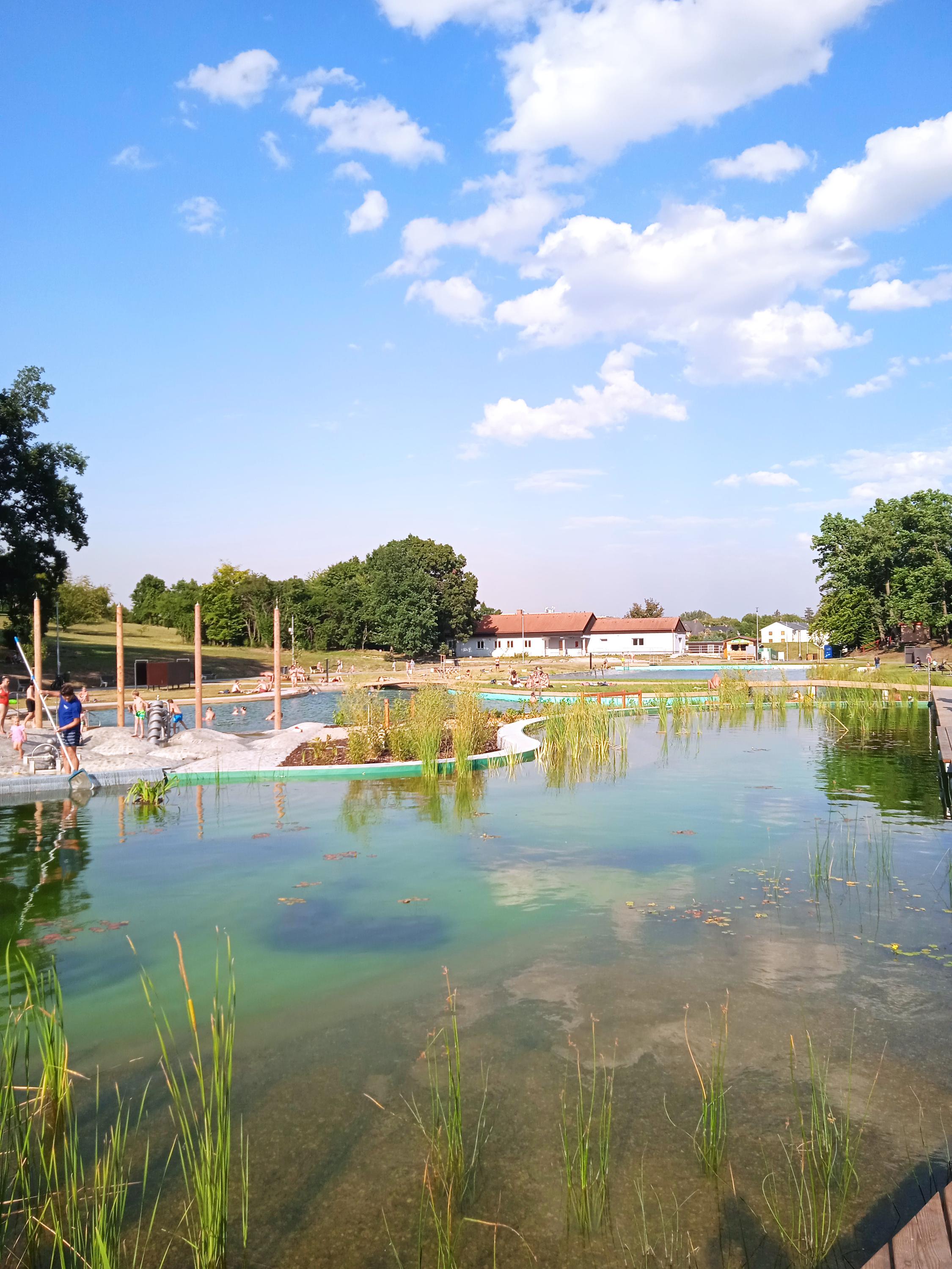 Přírodní koupací biotop Kosmonosy foto 6