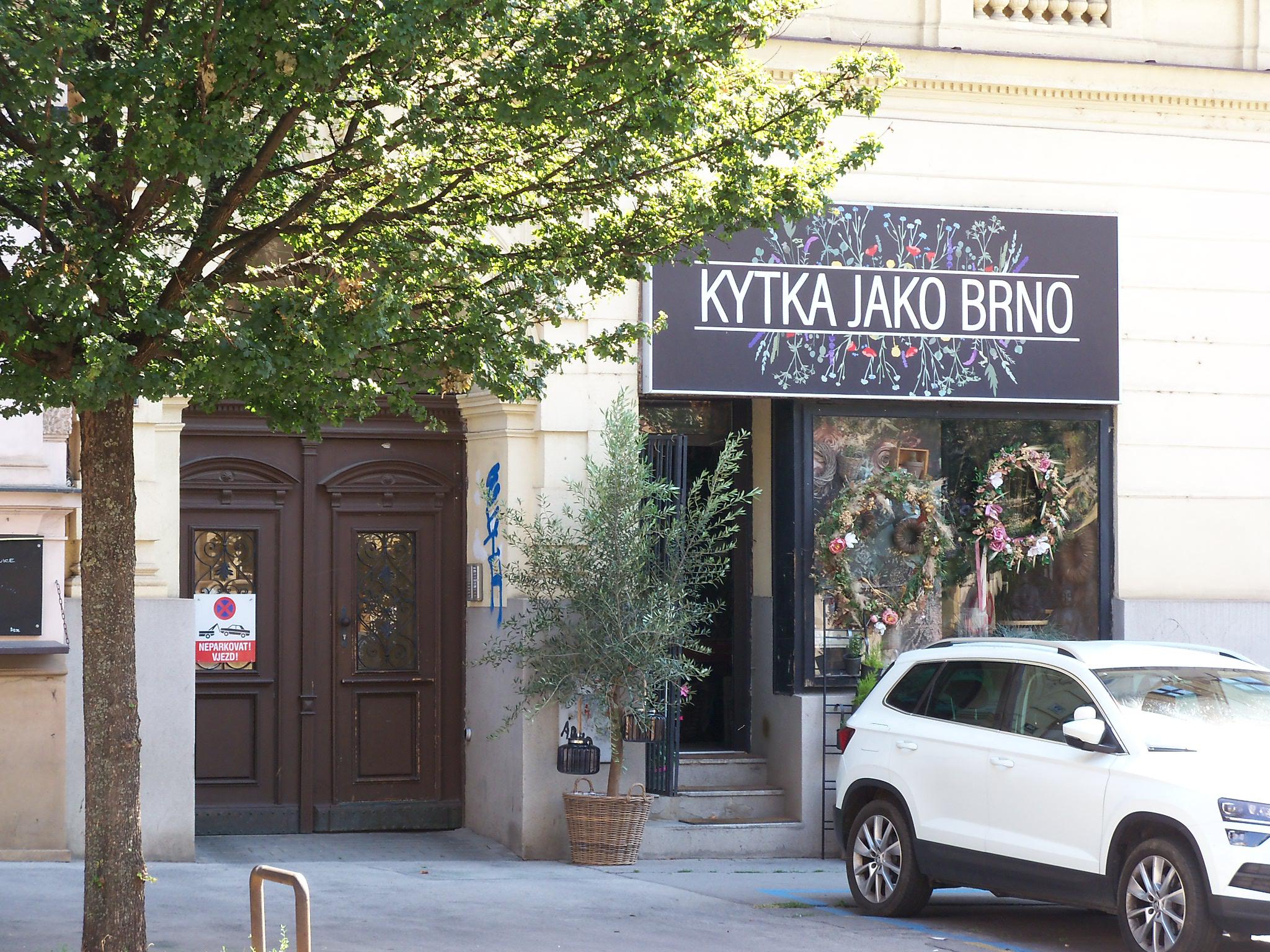 Kytka jako Brno foto 2