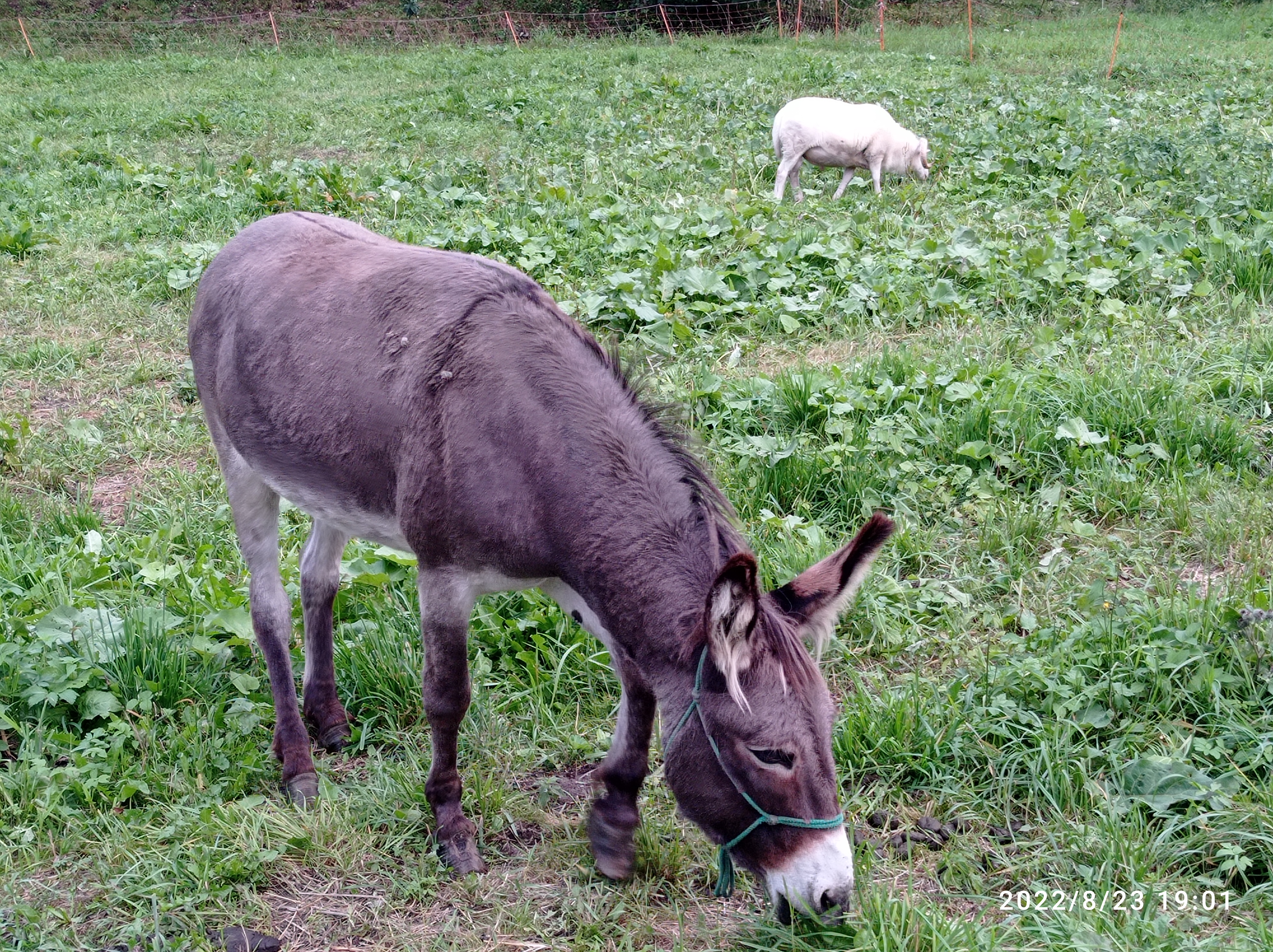 Kralická chata foto 6