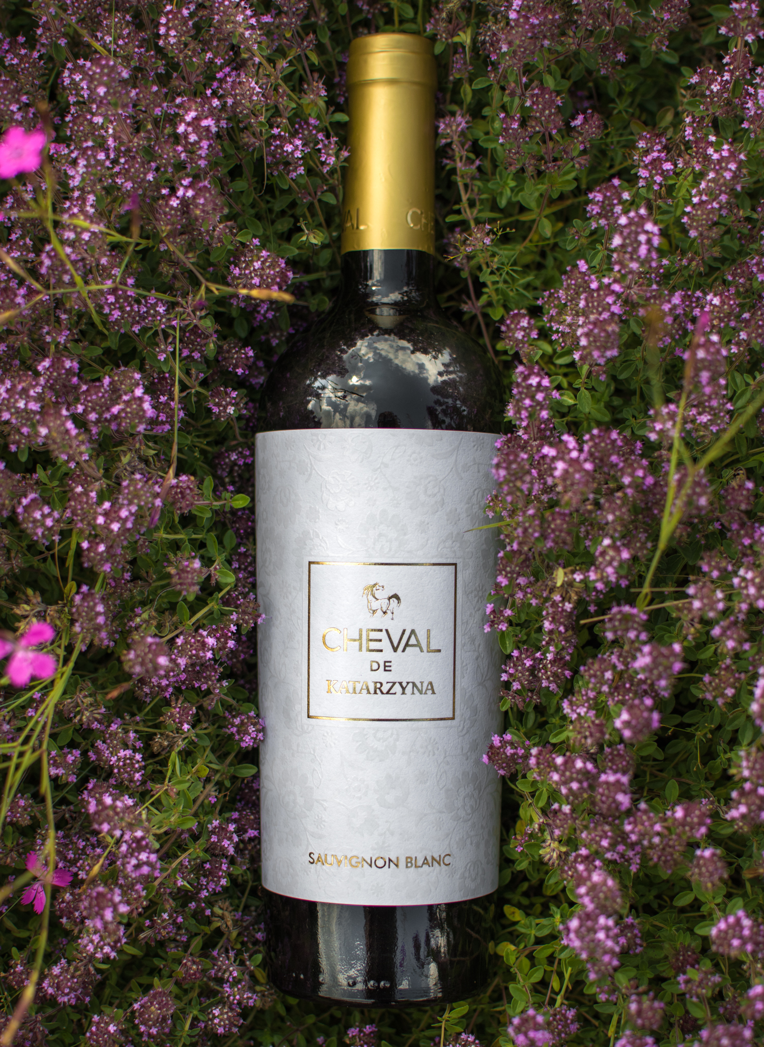 Prowine s.r.o. foto 5