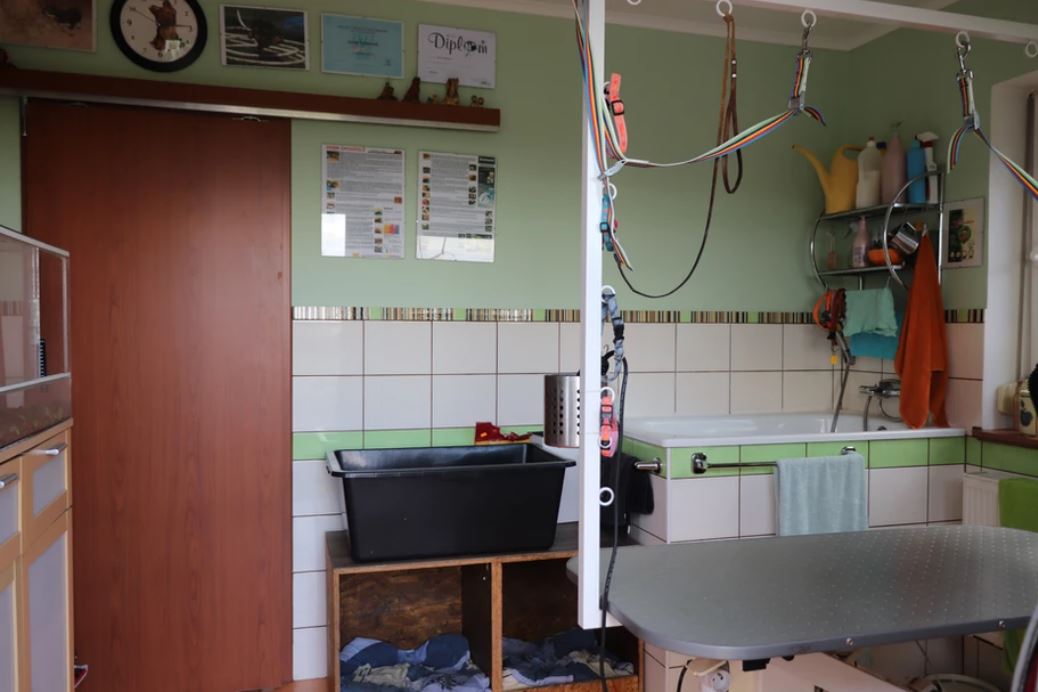 Psí salon - Ludikeys foto 4