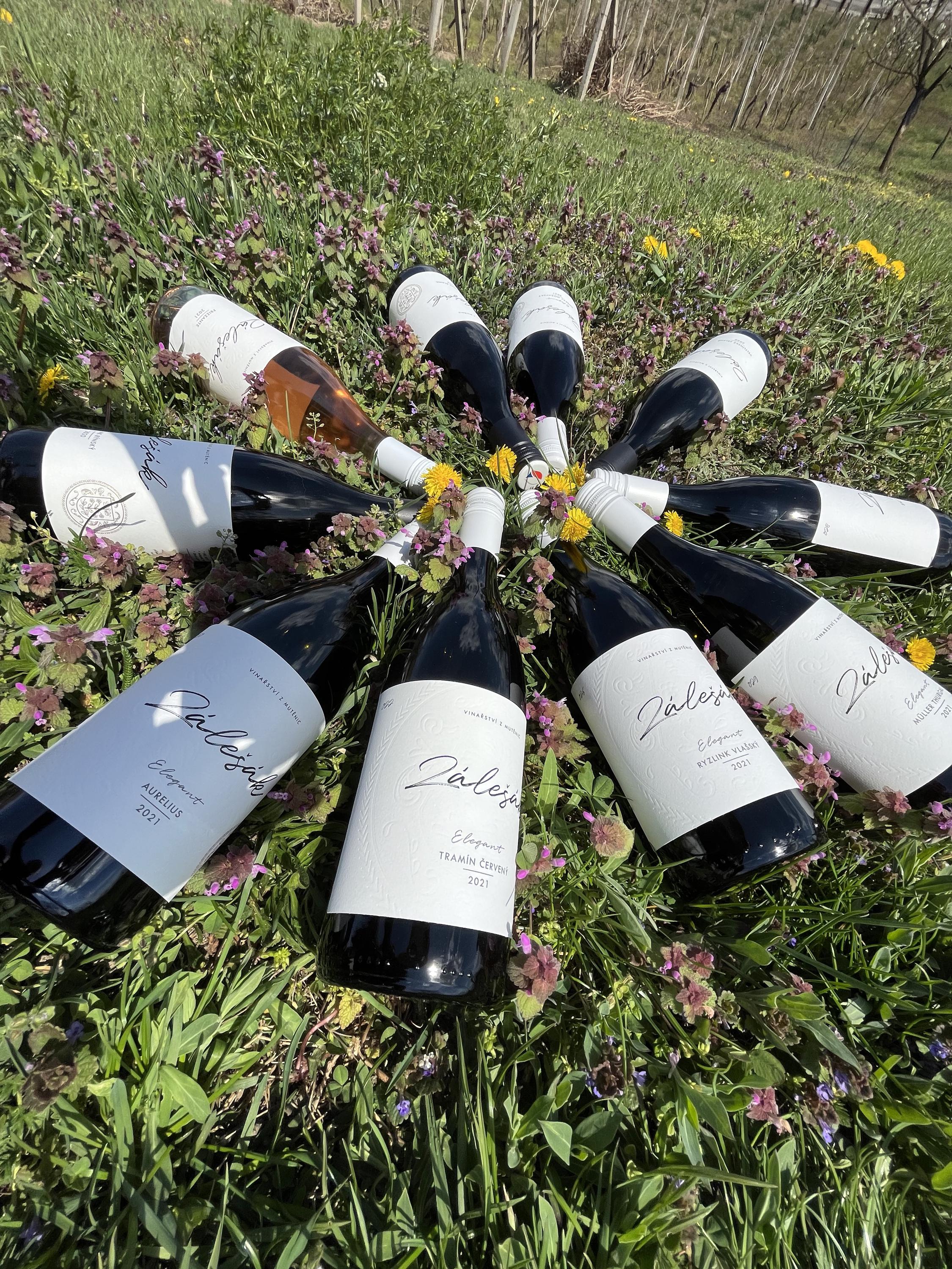 Vinařství Zálešák foto 3