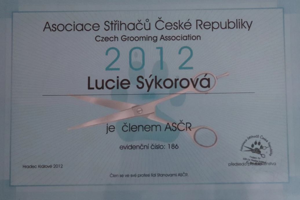 Psí salon - Ludikeys foto 3