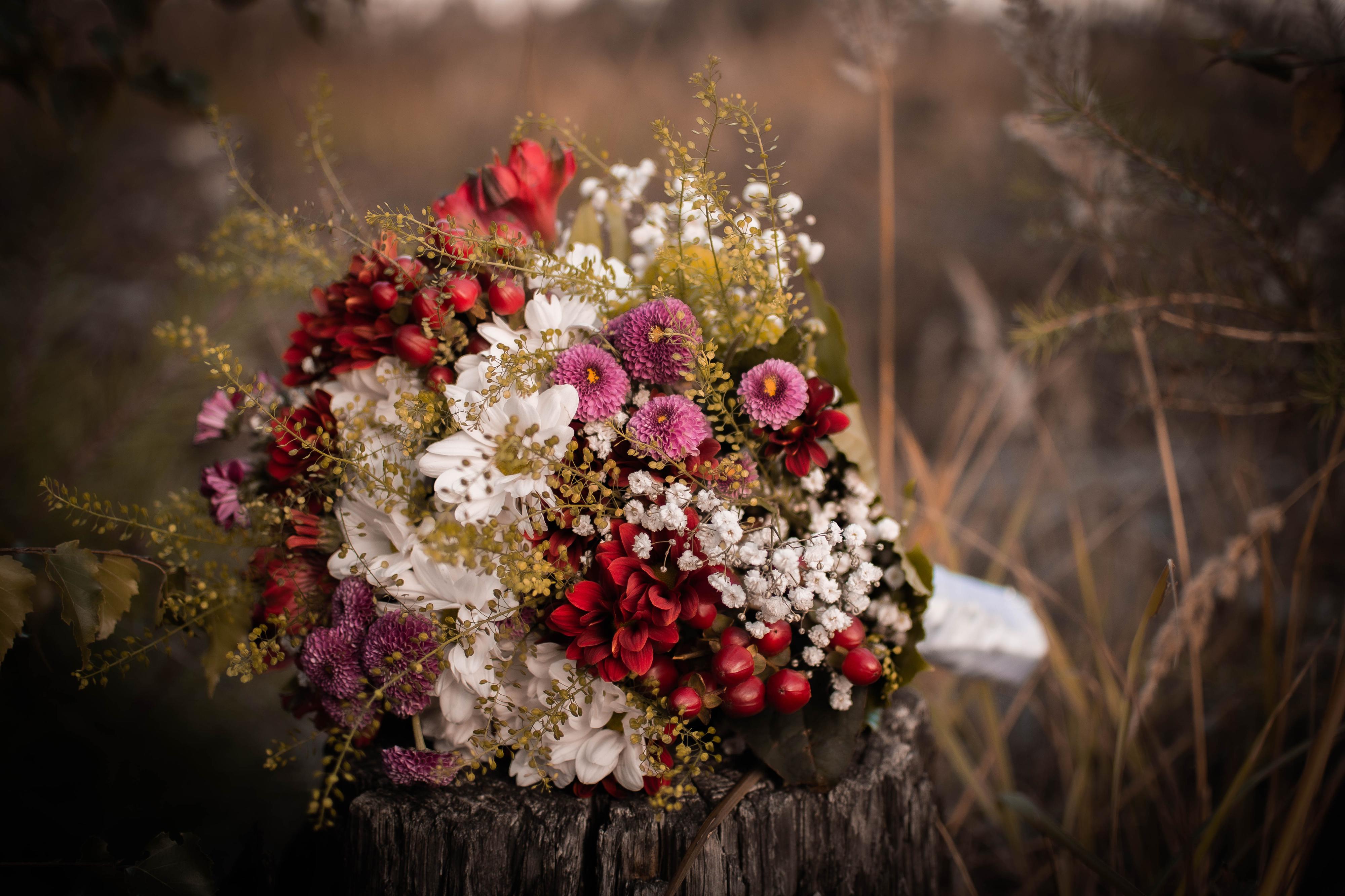 FOTOGRAFKA LENKA ČISLINSKÁ foto 3