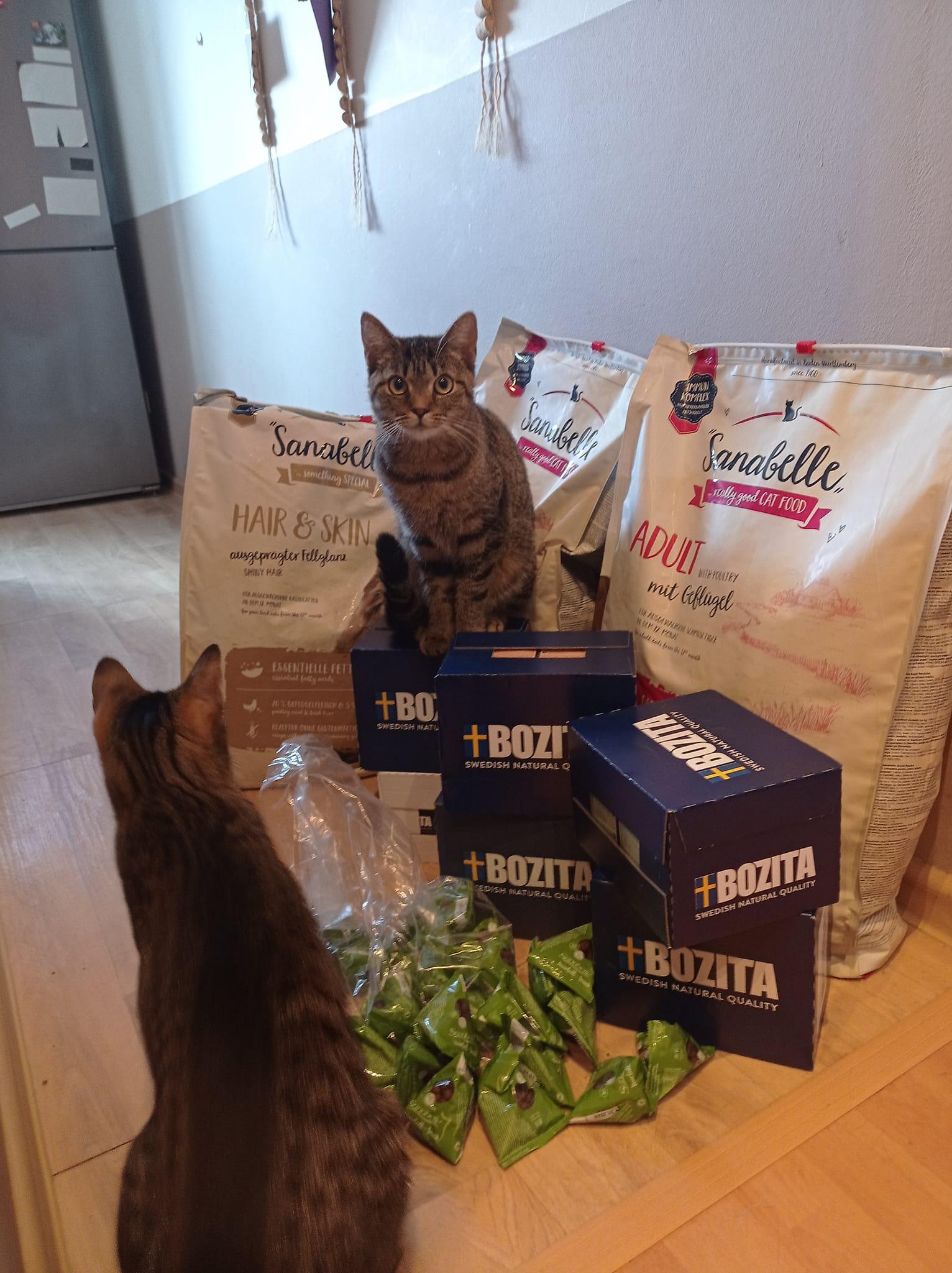 SOS zvířata v nouzi KV foto 3