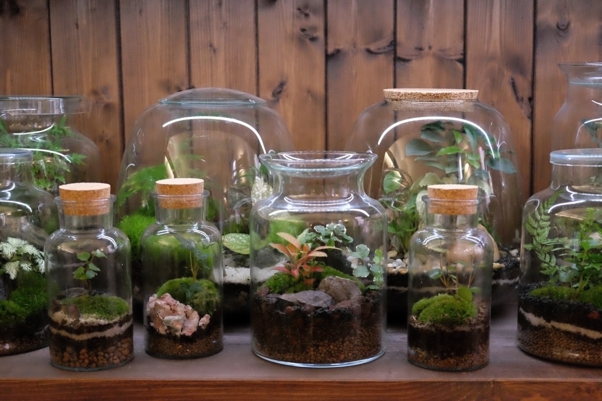 Milujeme mech | e-shop foto 3