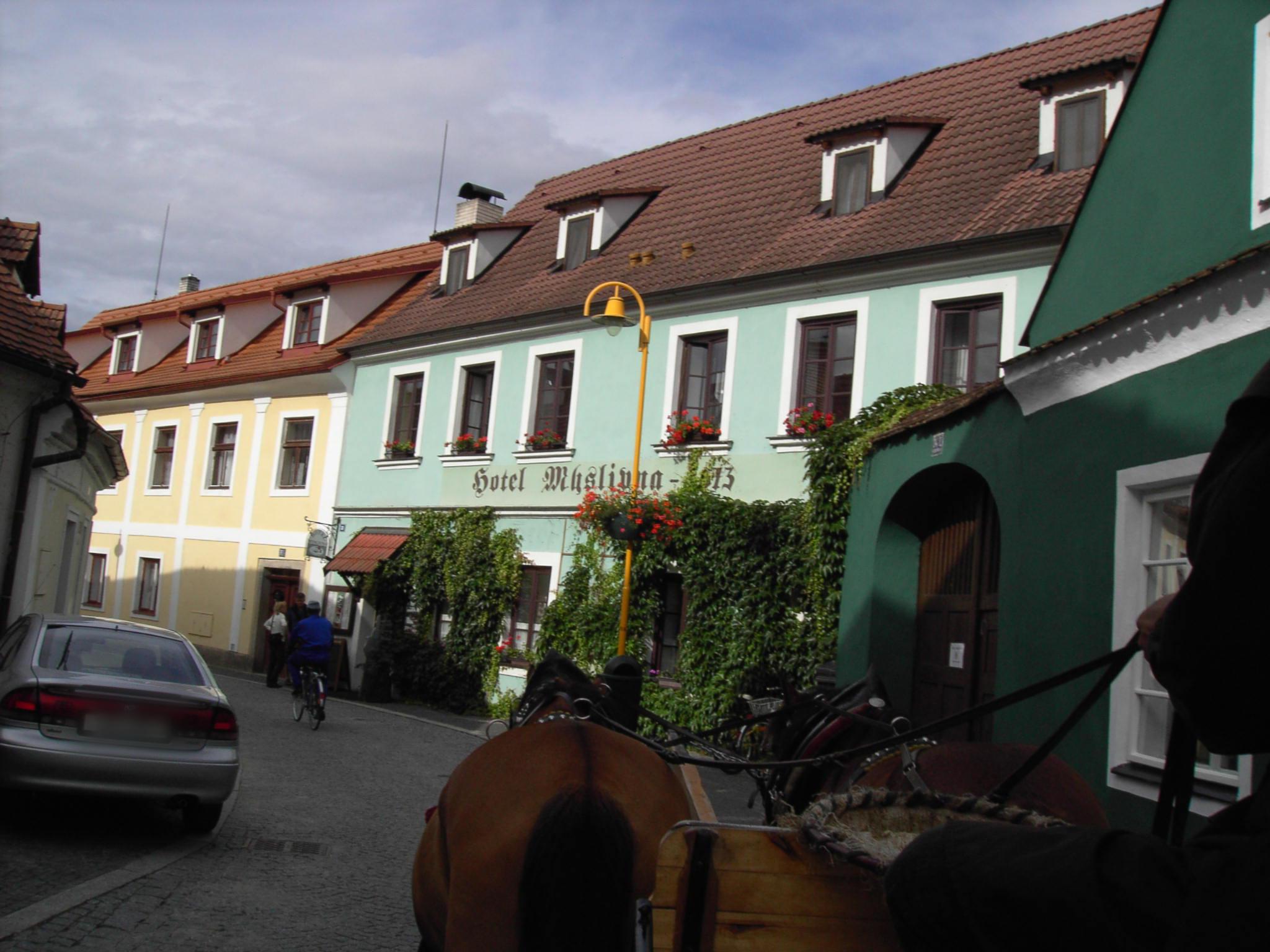 RODINNÝ HOTEL MYSLIVNA s.r.o. foto 2