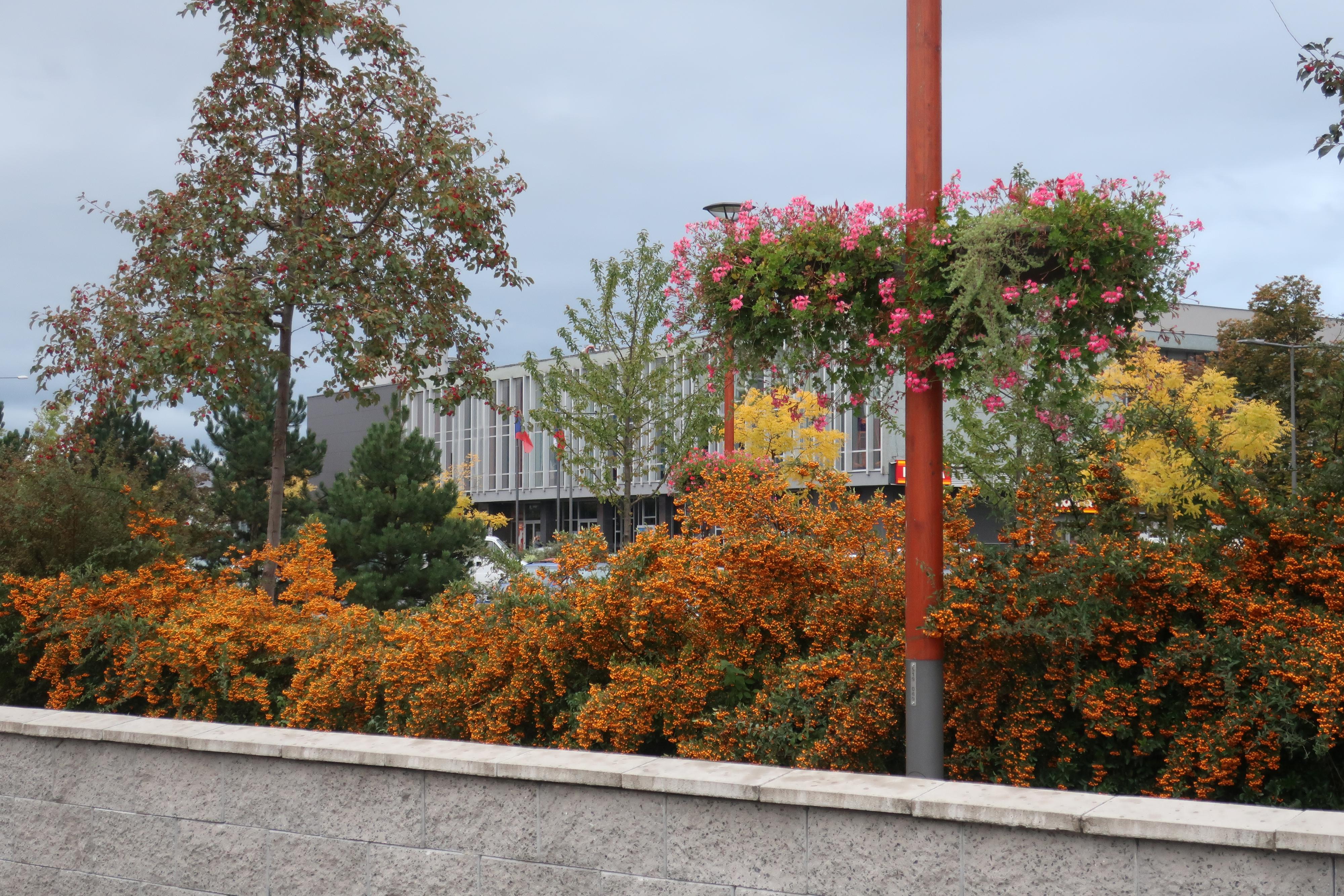 Dům kultury Poldi Kladno foto 5