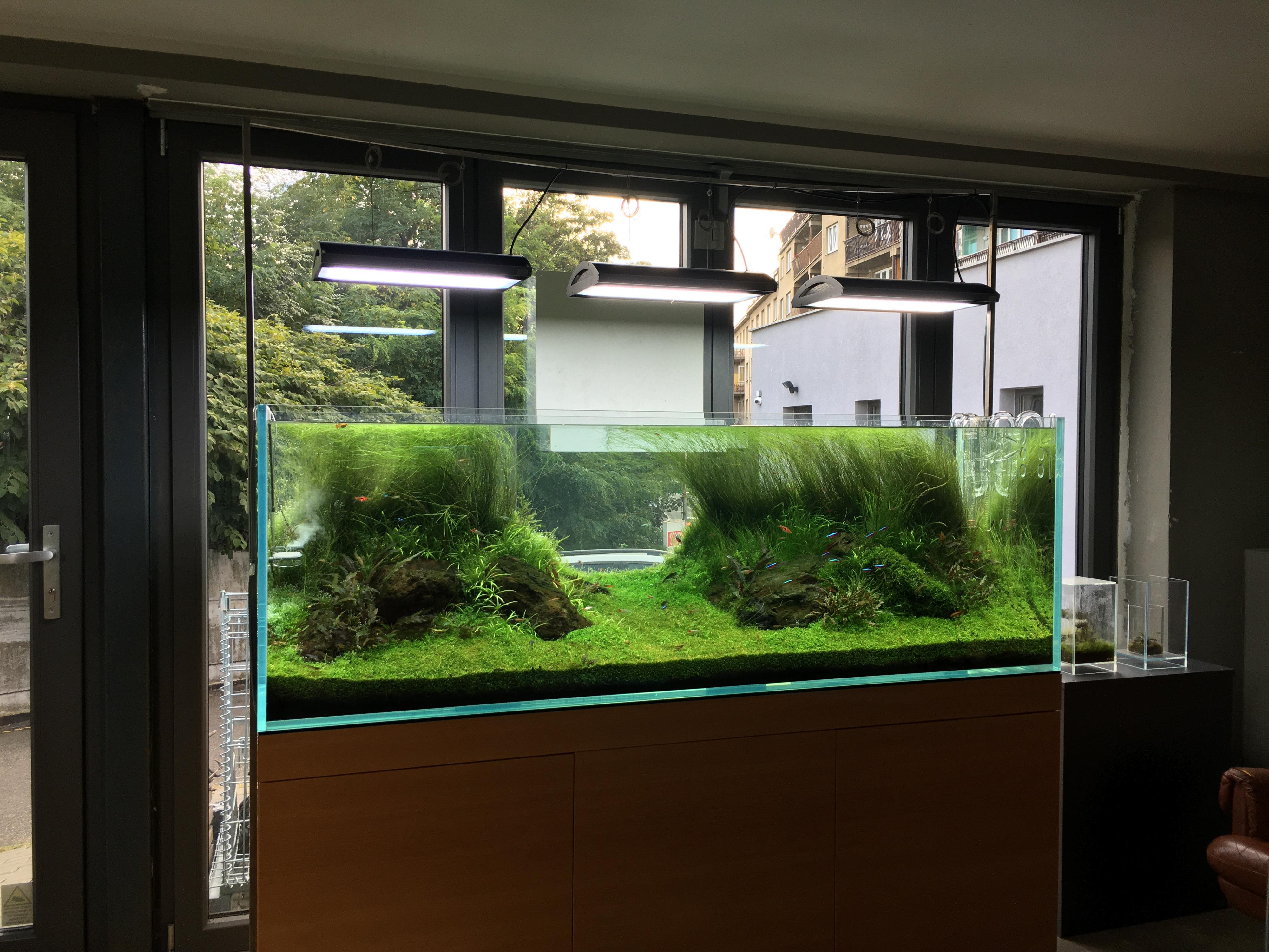 Aquascape.cz foto 3