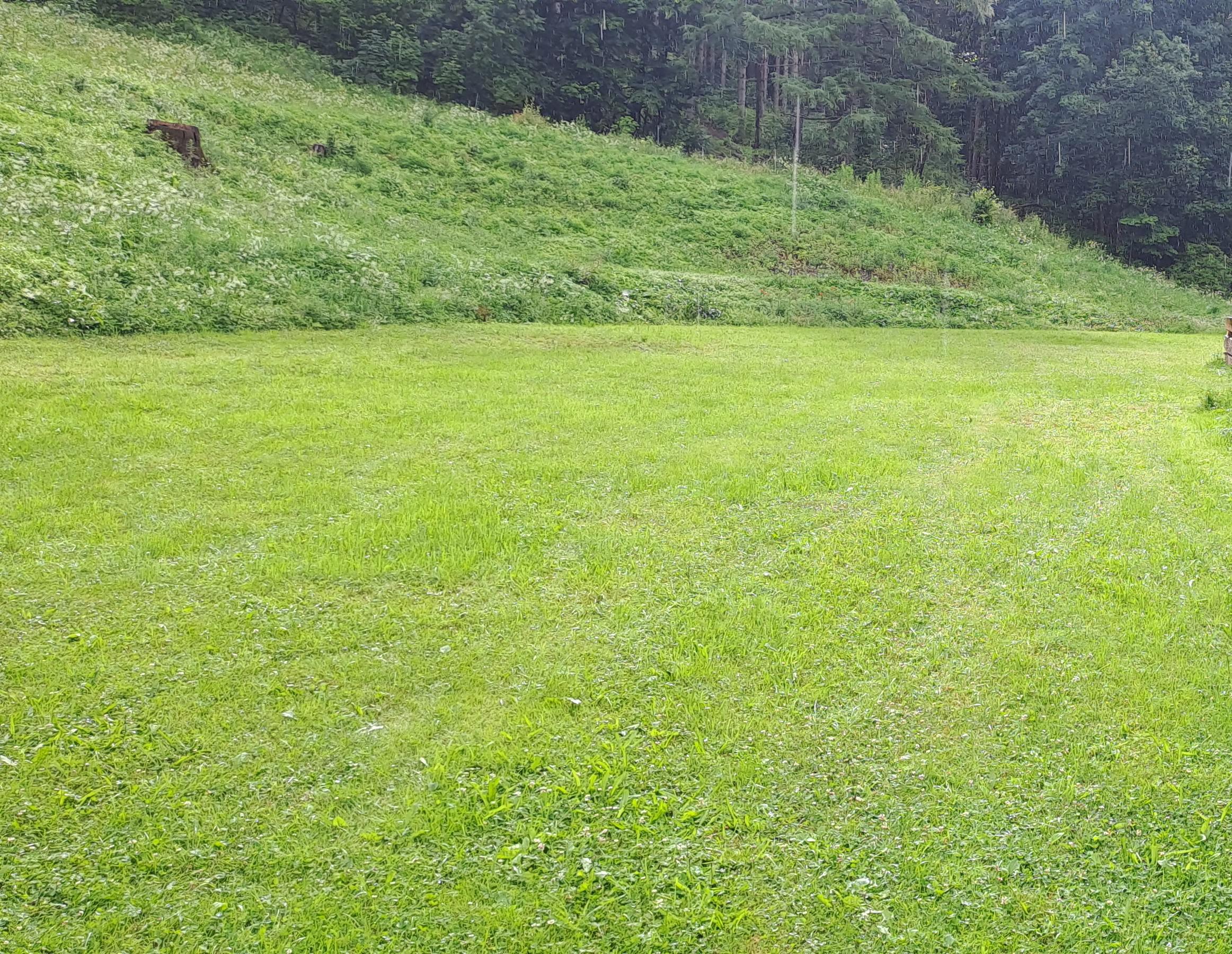 bezKemp u Ještěrky foto 3