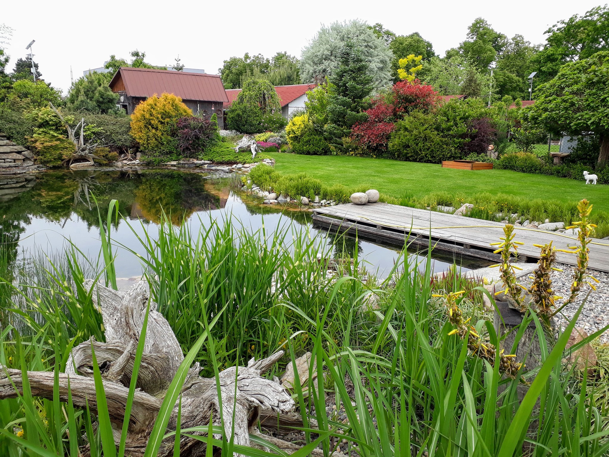 DAHLIA GROUP, s.r.o. foto 3