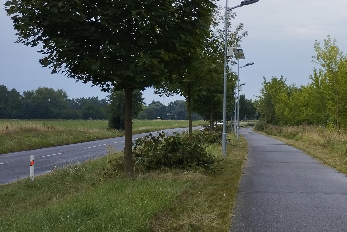 Údržba zeleně - Milan Zoubek