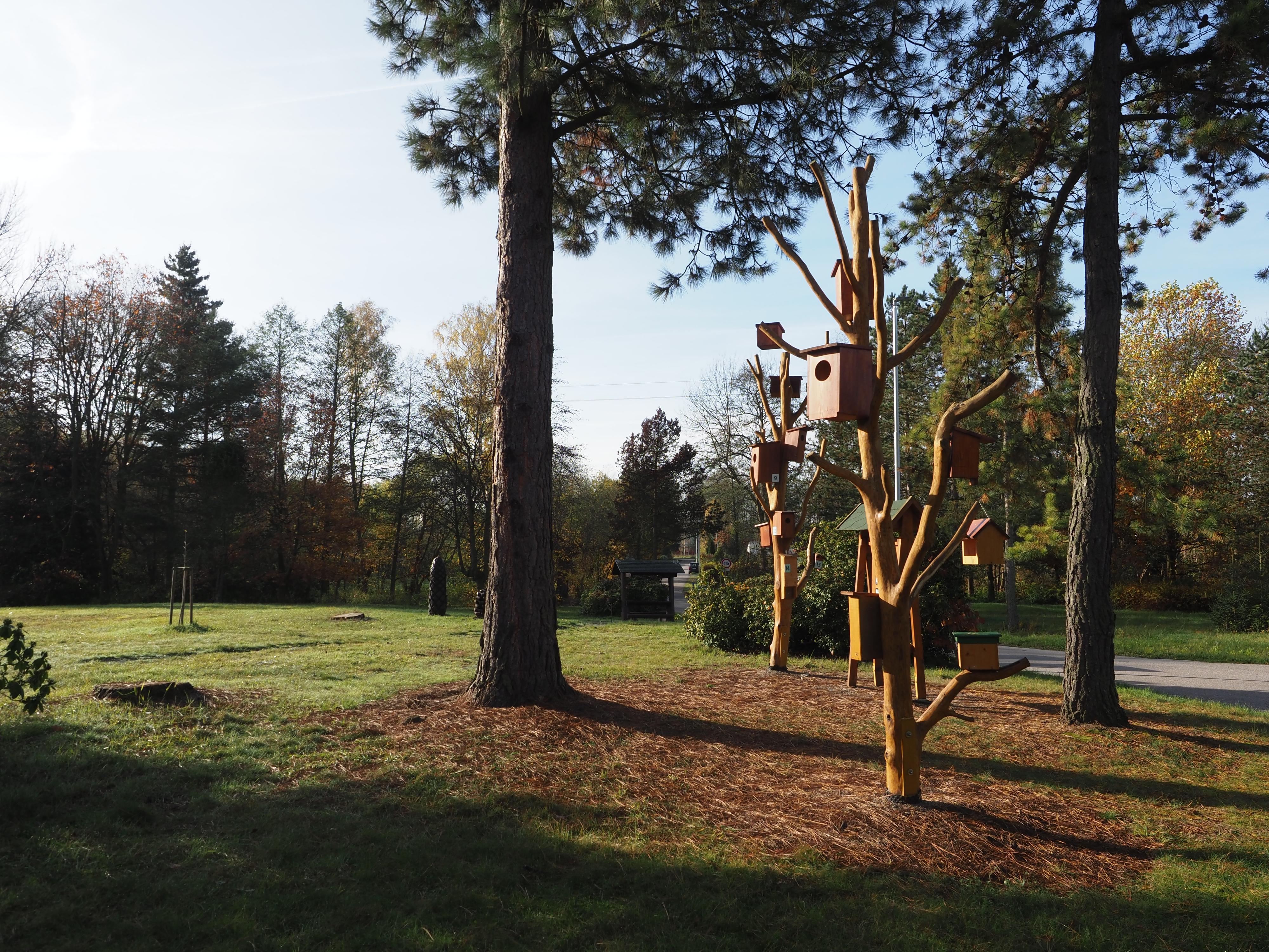 Lesy České republiky - Semenářský závod foto 6