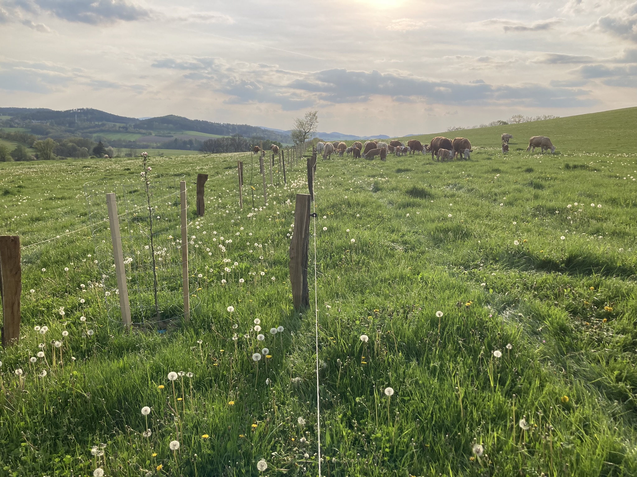 Biofarma - Janouškovi foto 4