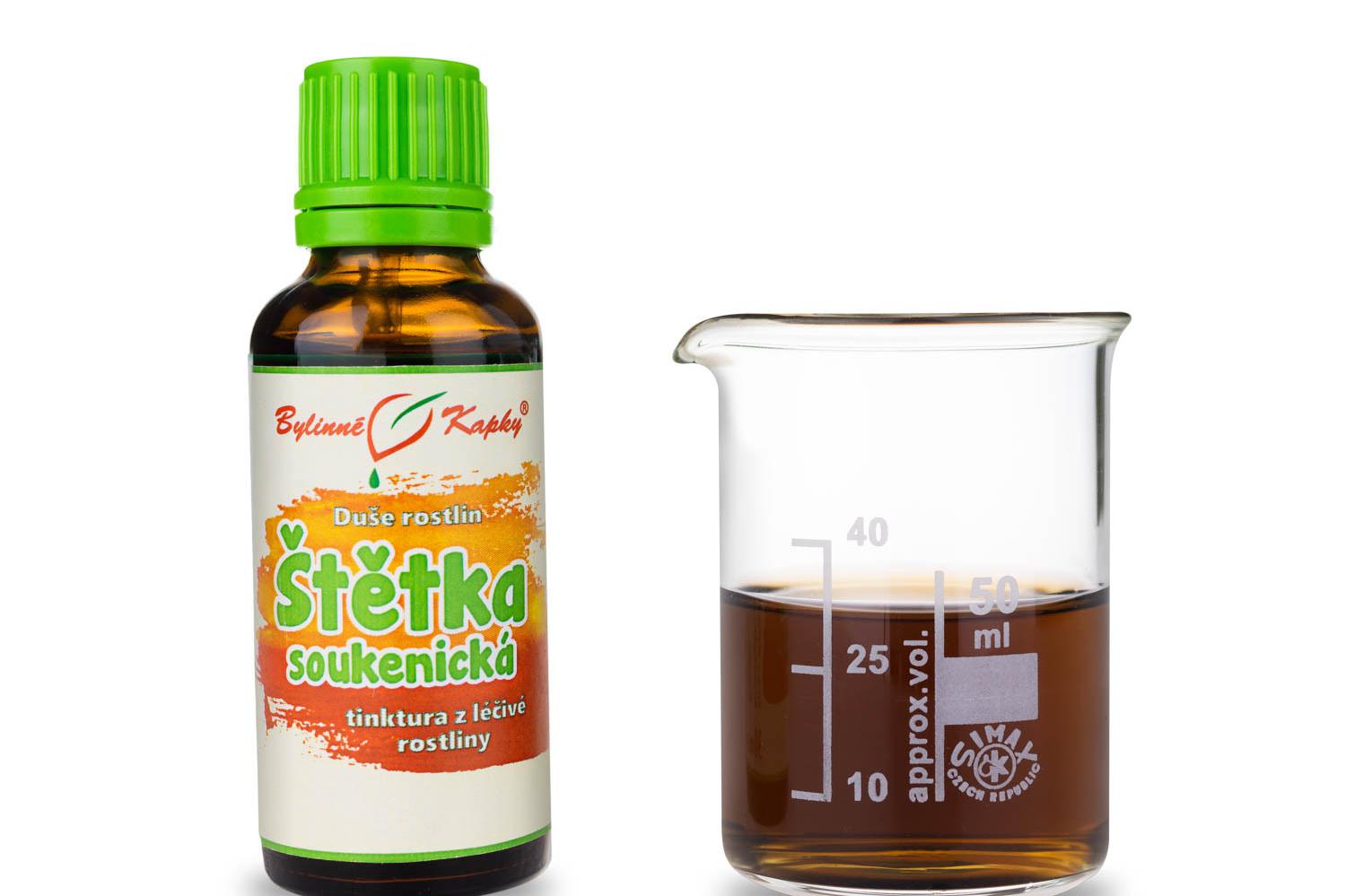 Štětka soukenická tinktura-Borelióza. Na boreliózu