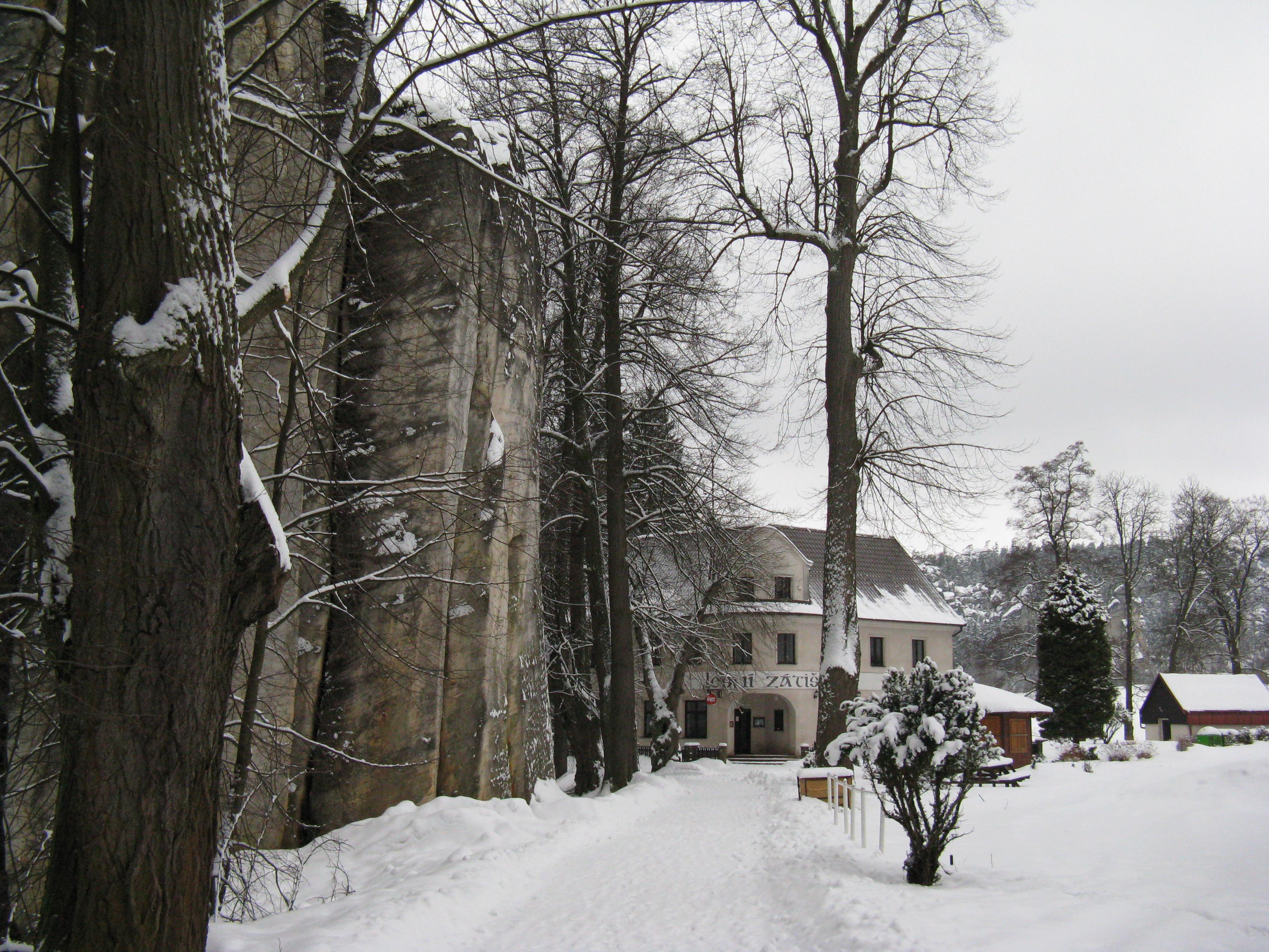 Hotel Lesní zátiší foto 3
