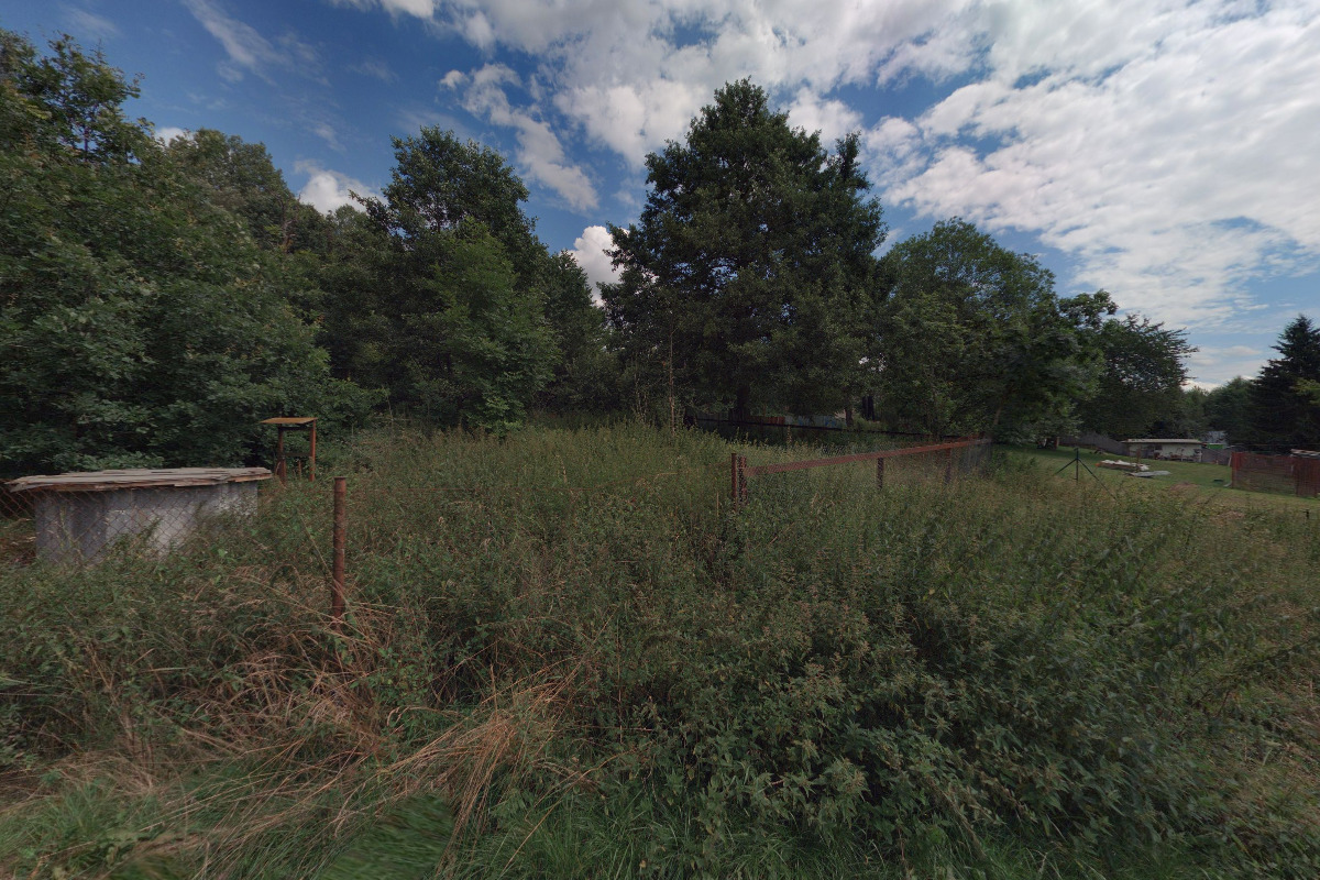 Útulek pro opuštěné psy