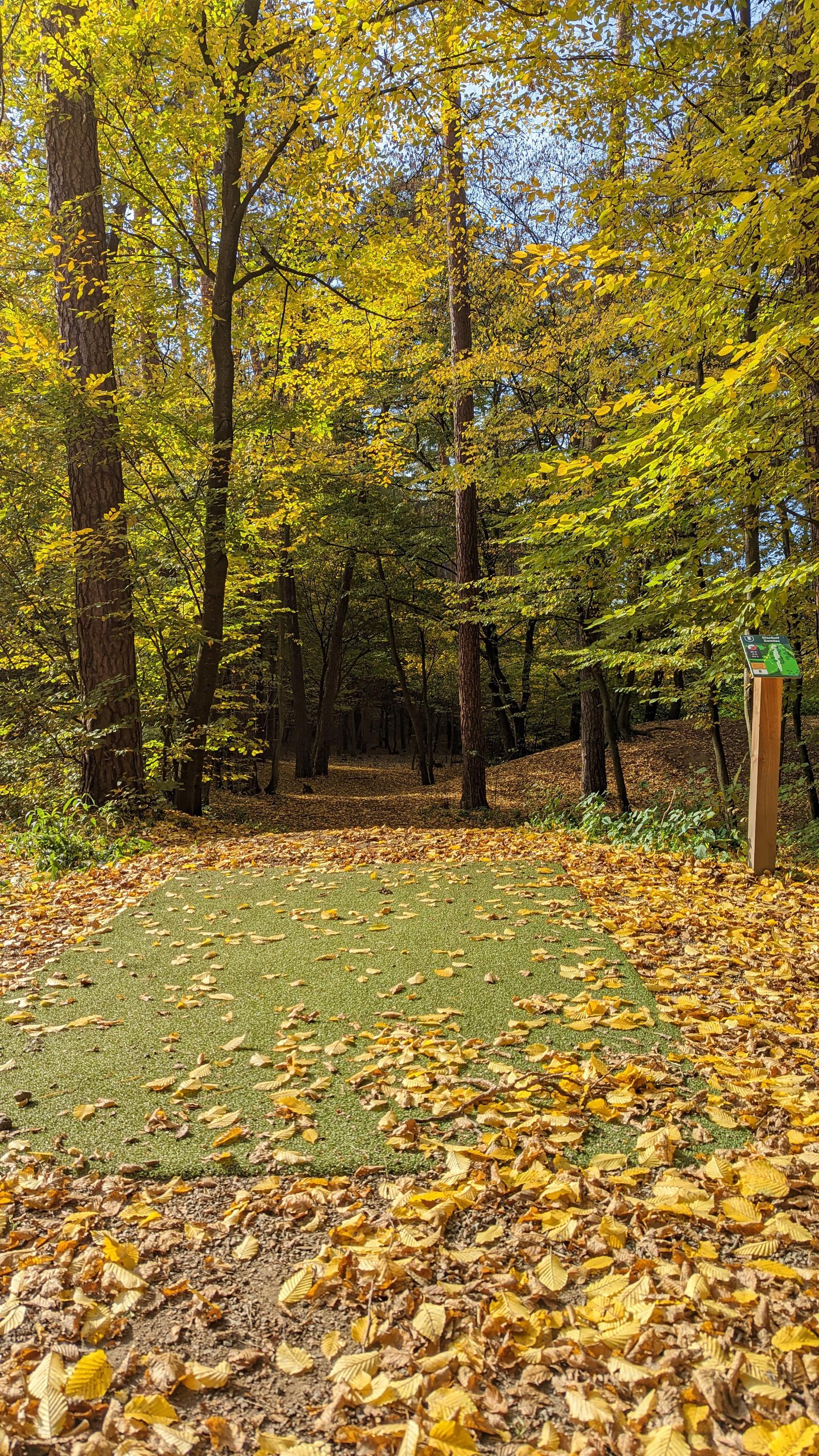 Disc Golf Zamilec foto 4