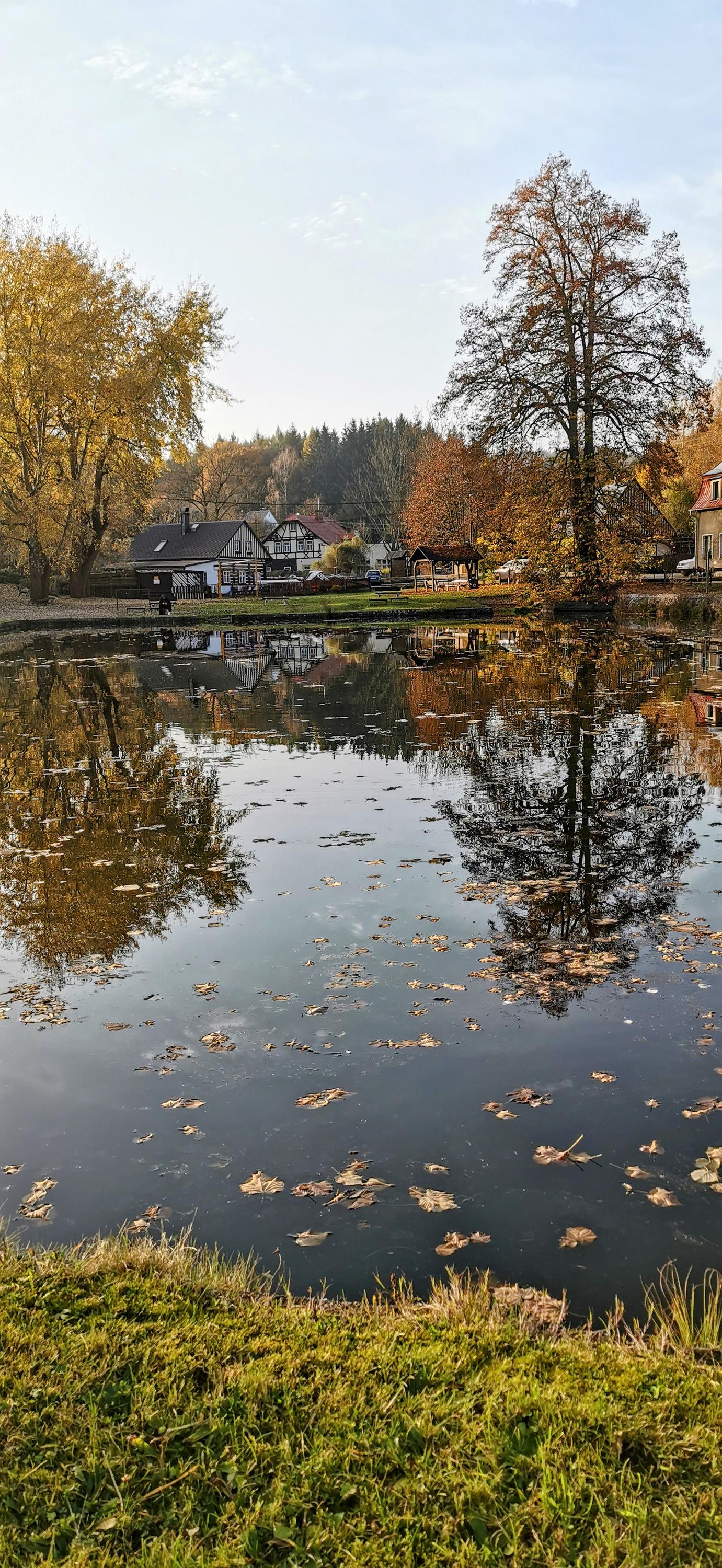 Koupaliště Polesí foto 5