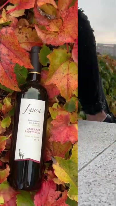 WorldWine foto 2 (náhled videa)