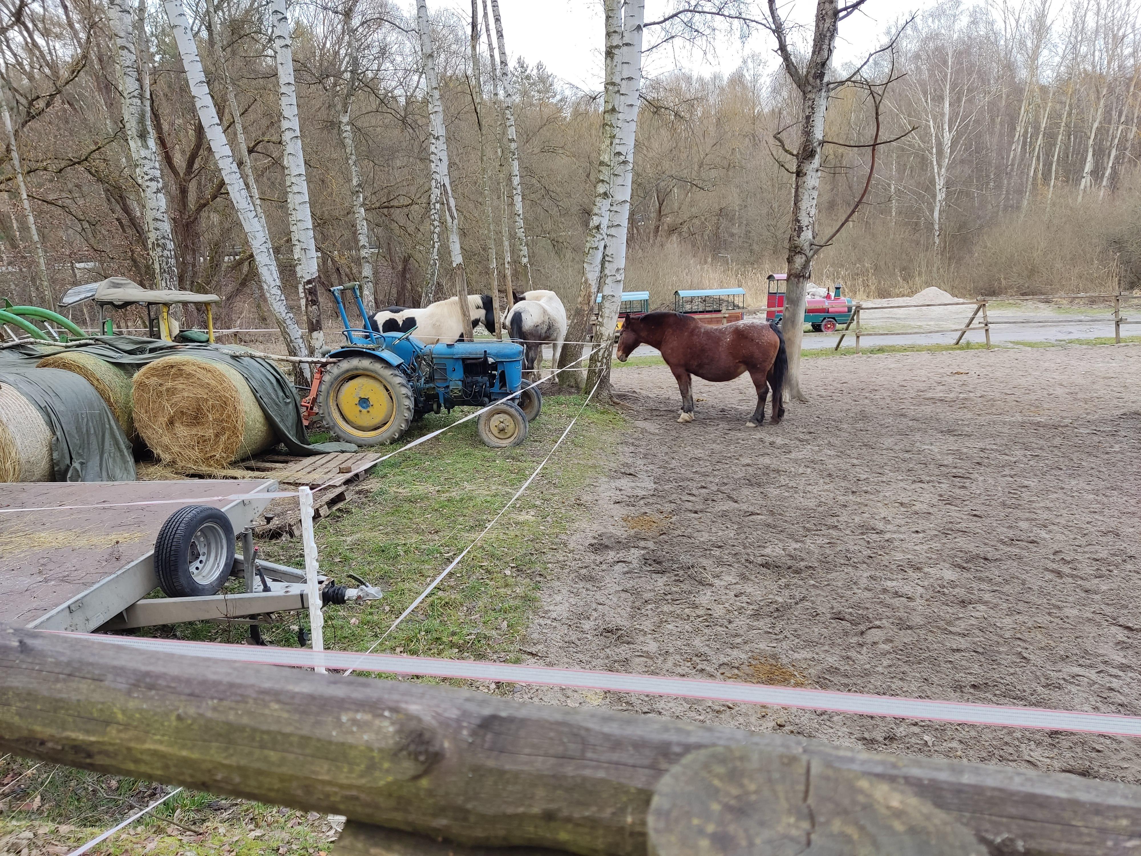 Ranč Šídlovák foto 6