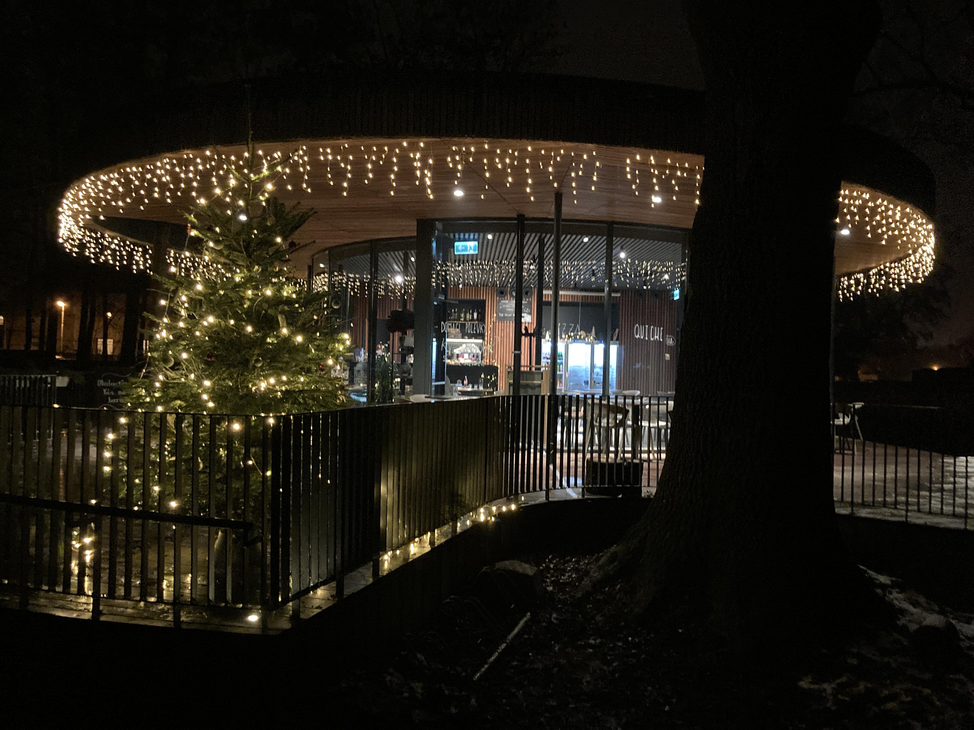 Kafe na dřevo foto 5