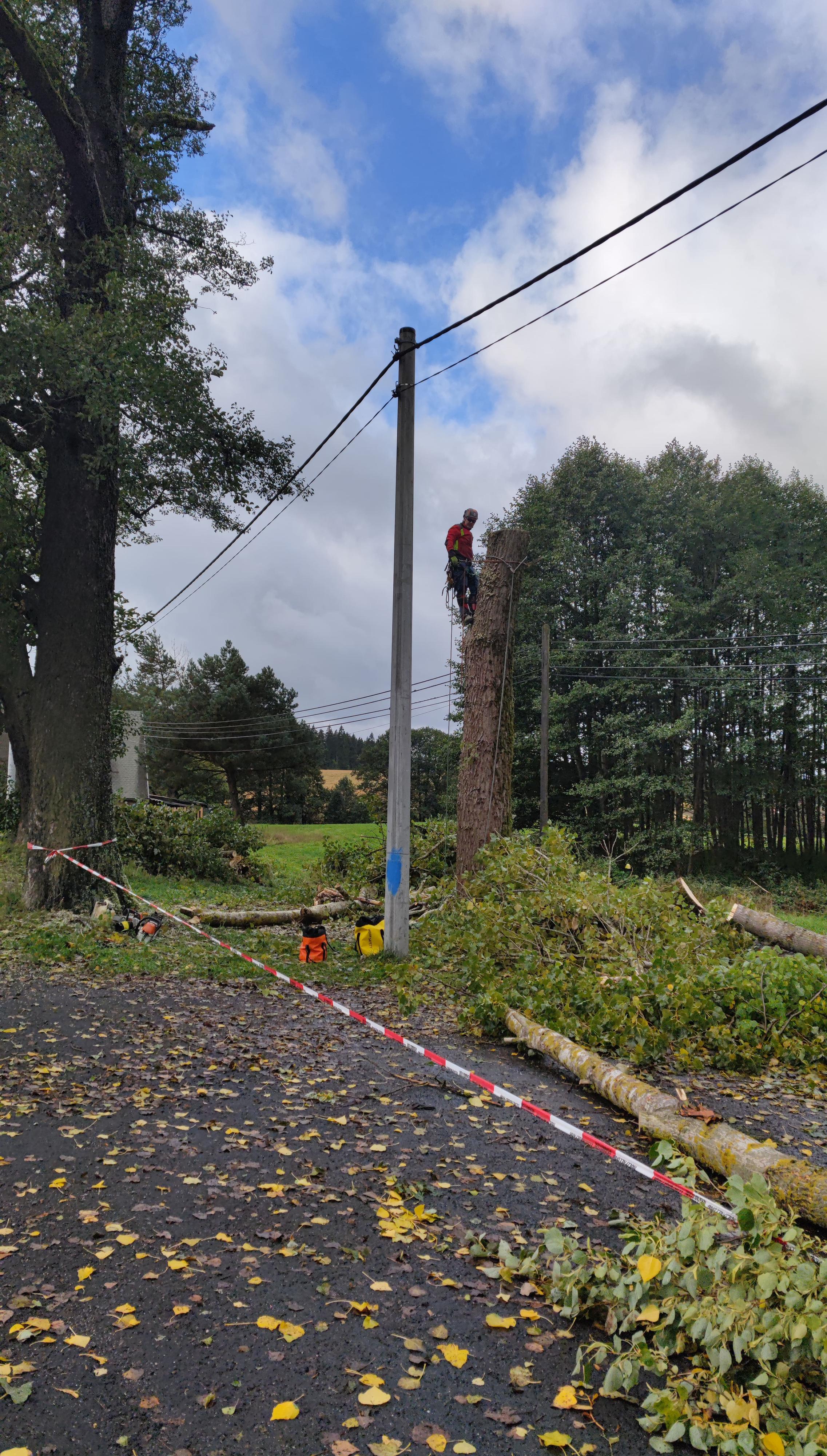Rizikové kácení stromů - arboristika
