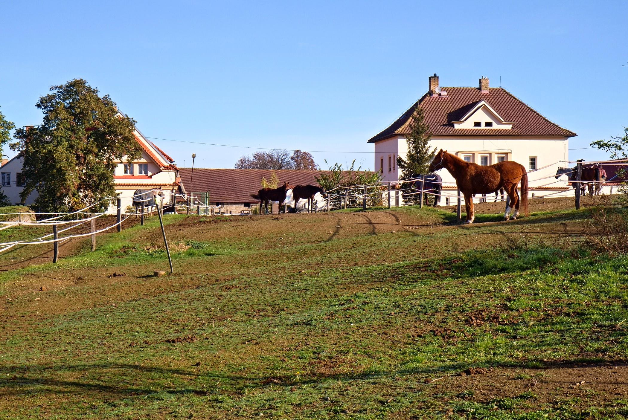 Jezdecký klub Výzkumného ústavu živočišné výroby Uhříněves