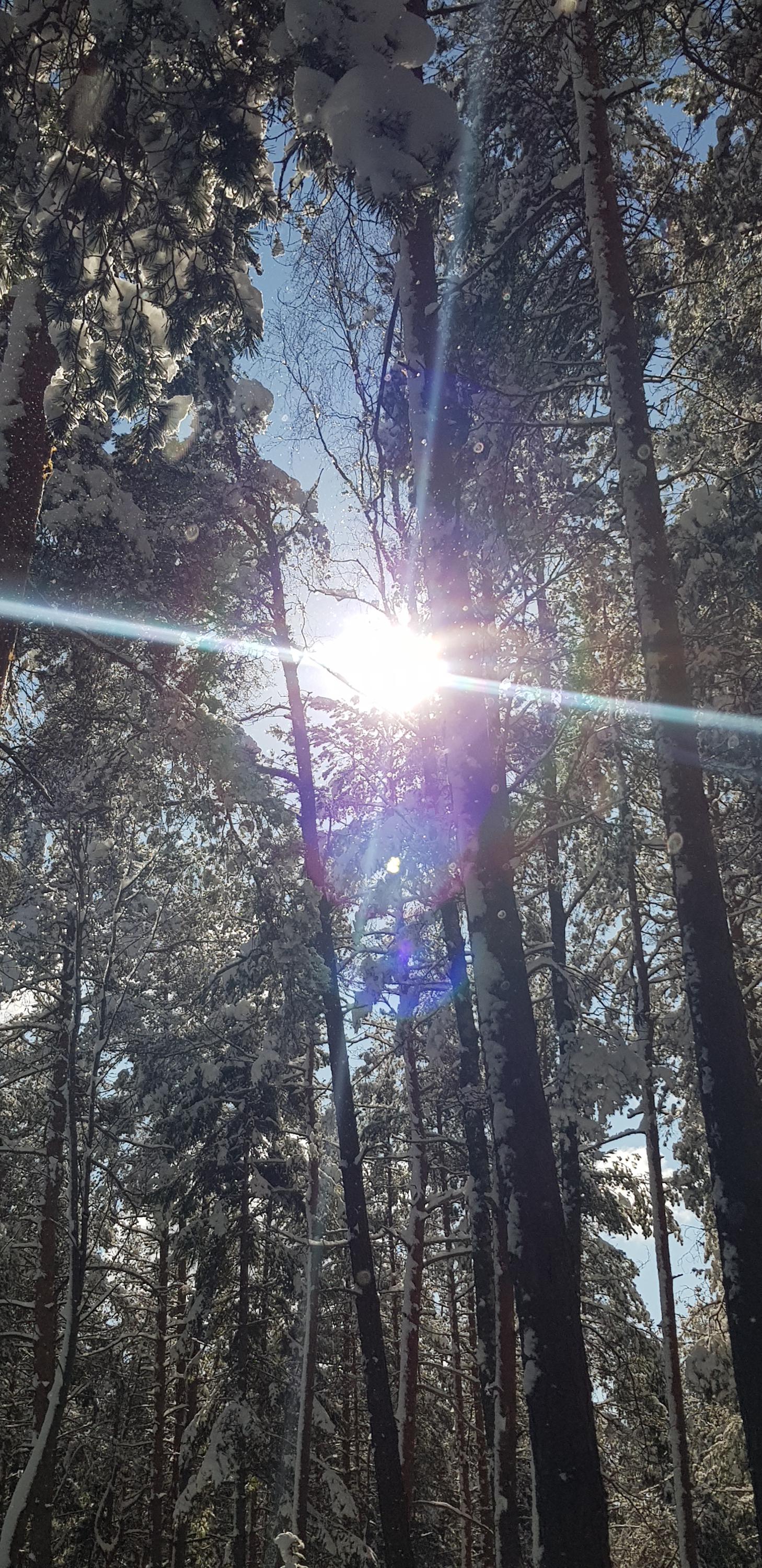 Apartmány Hortenzie foto 5