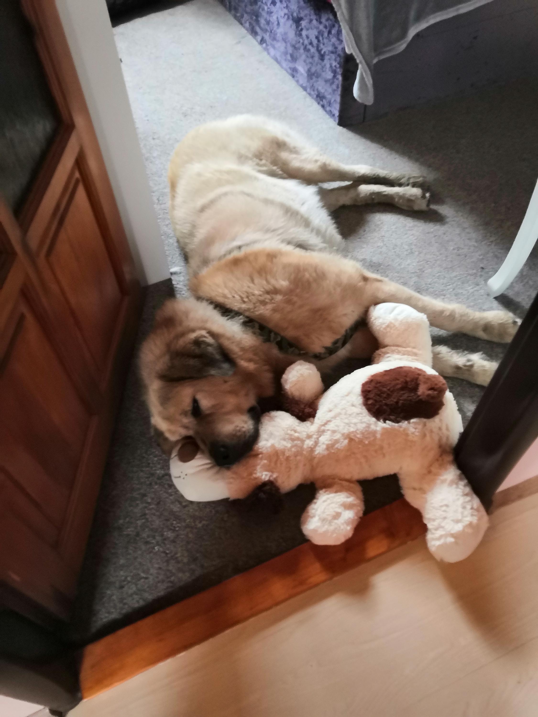 Penzion Slunovrat foto 5