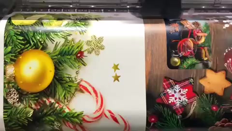Tiskárna PROFIMAL Lednický foto 2 (náhled videa)