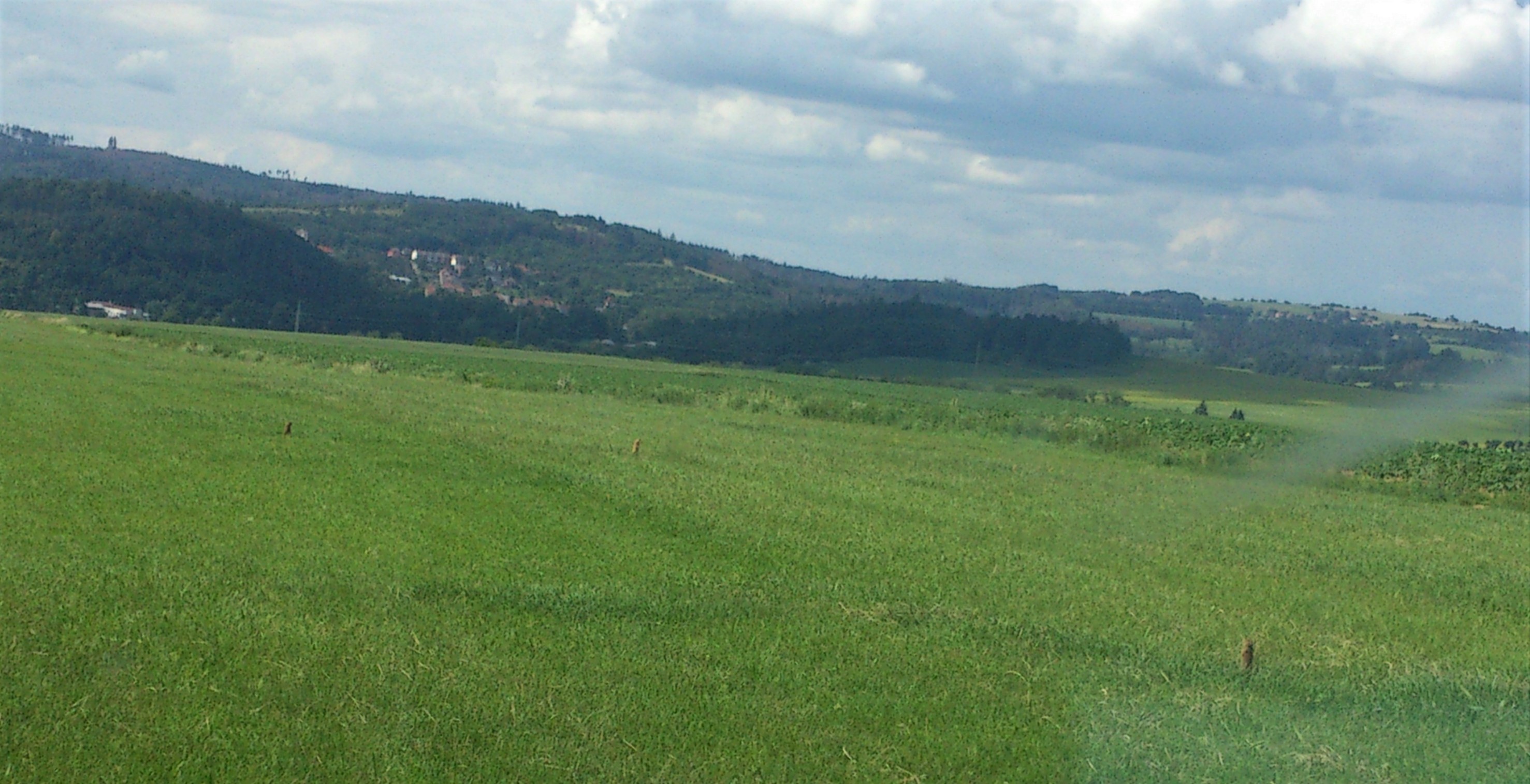 Letiště Bořitov foto 3