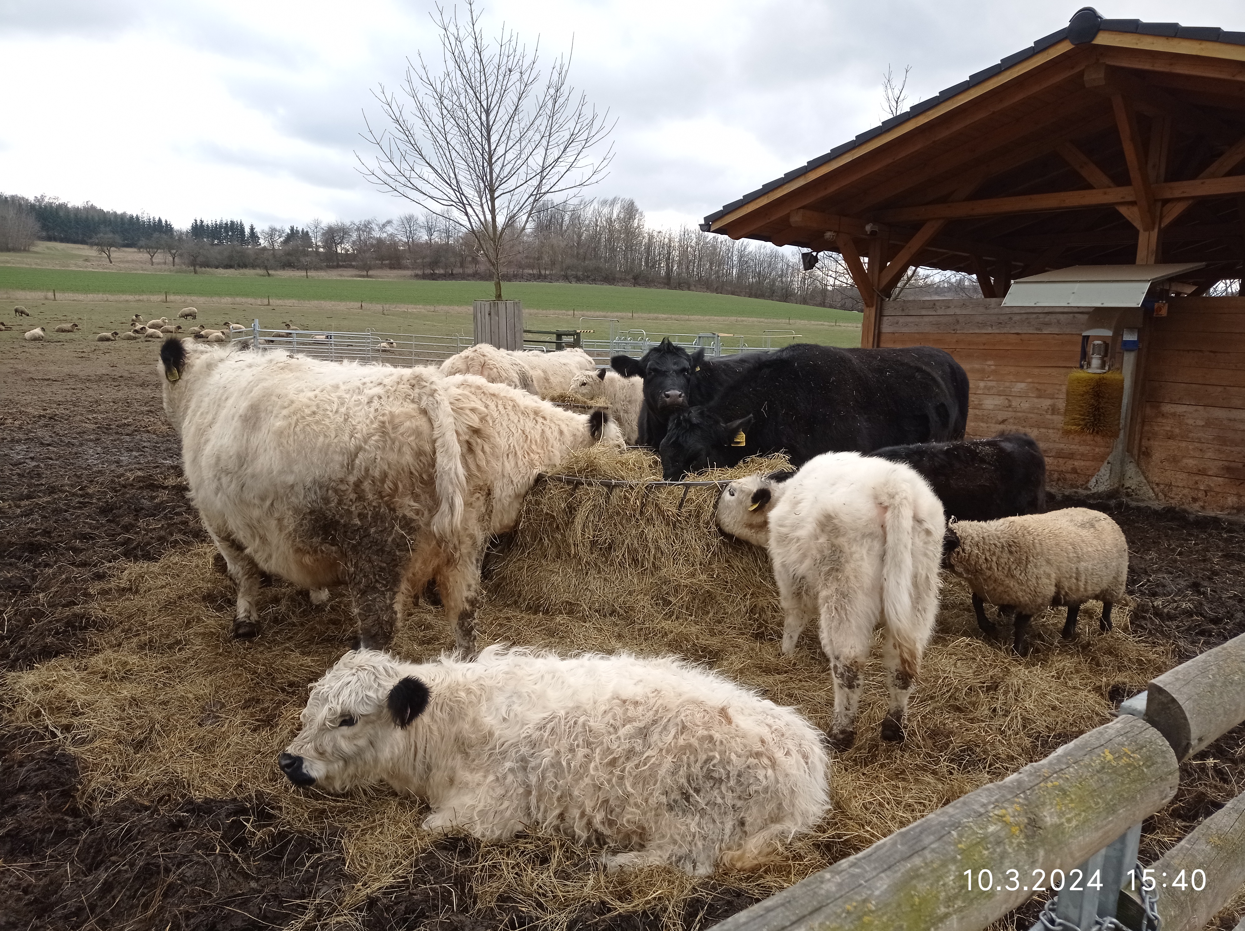 Eko farma Zelené údolí